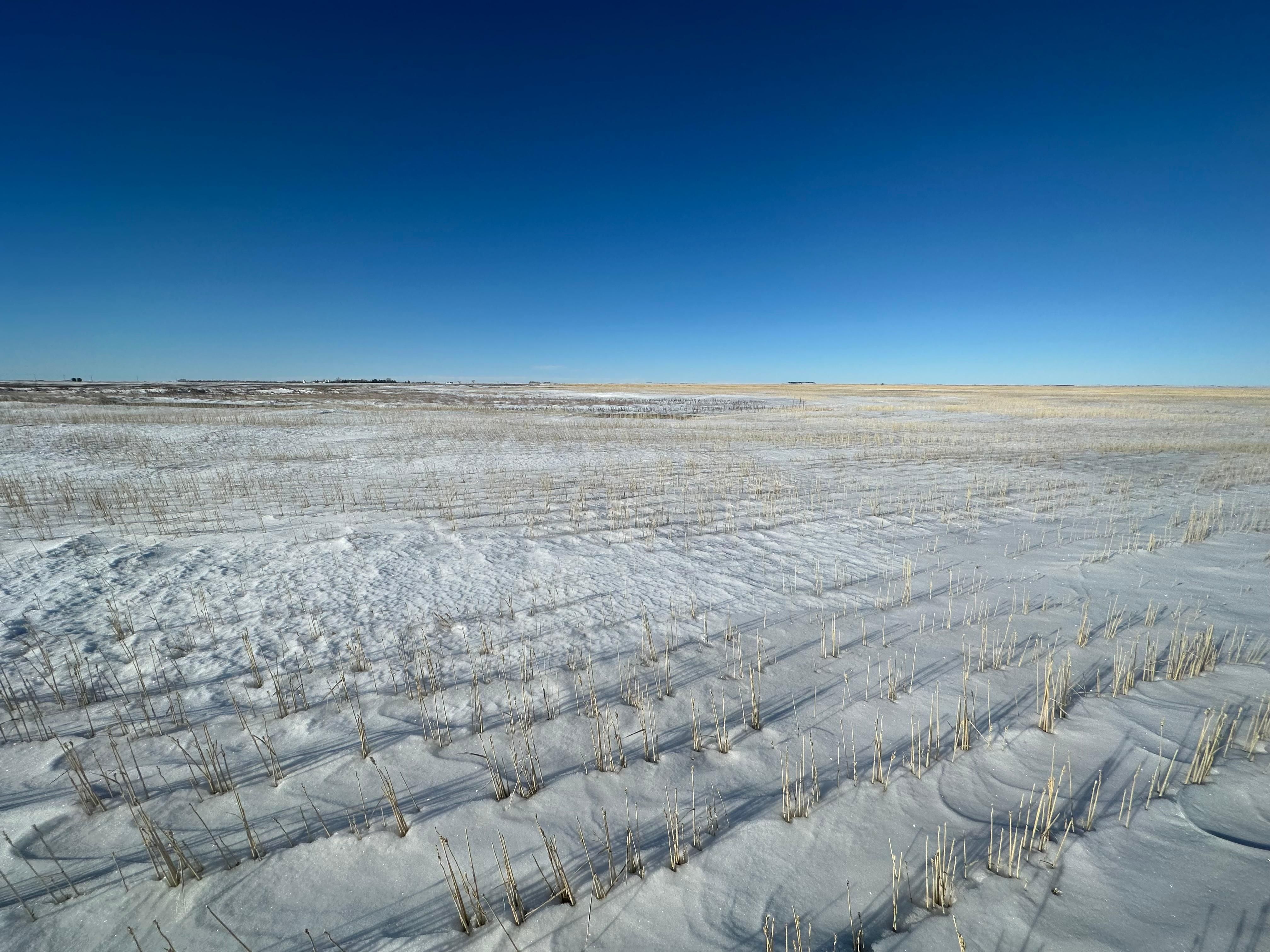 400 acres in Divide County, North Dakota