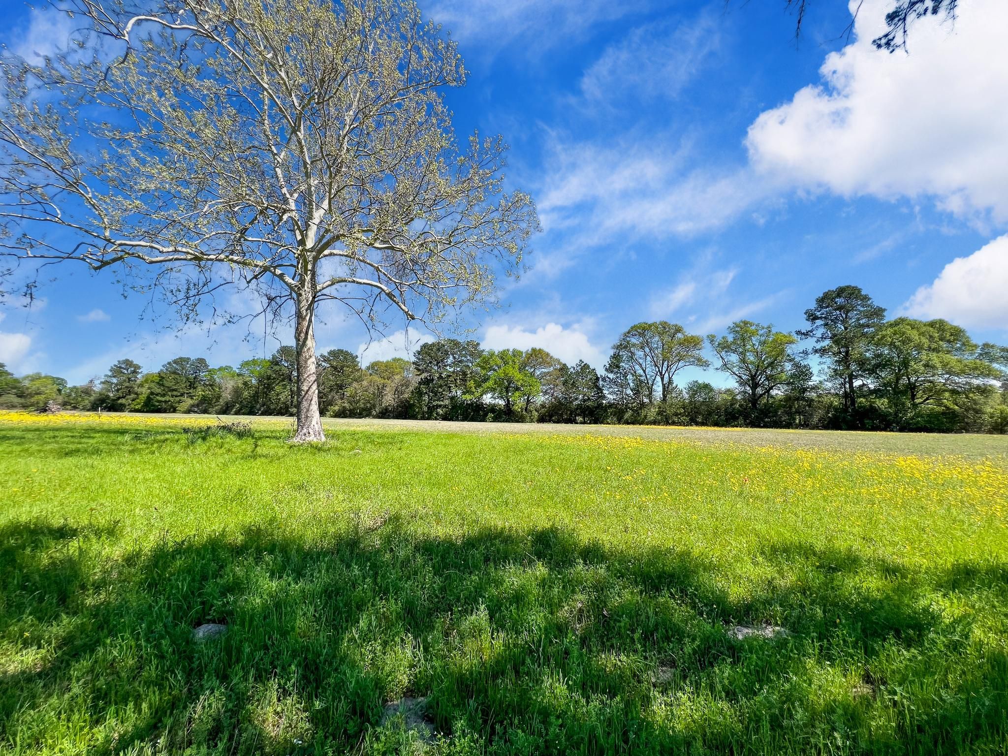4.2 acres in Grimes County, Texas