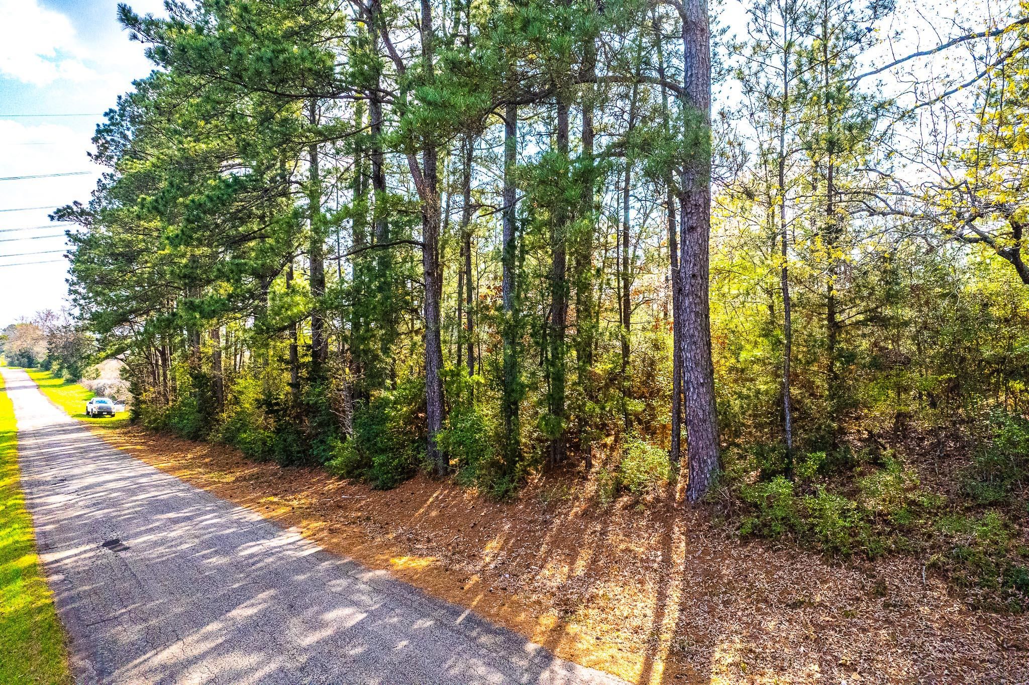 57 acres in Cherokee County, Texas