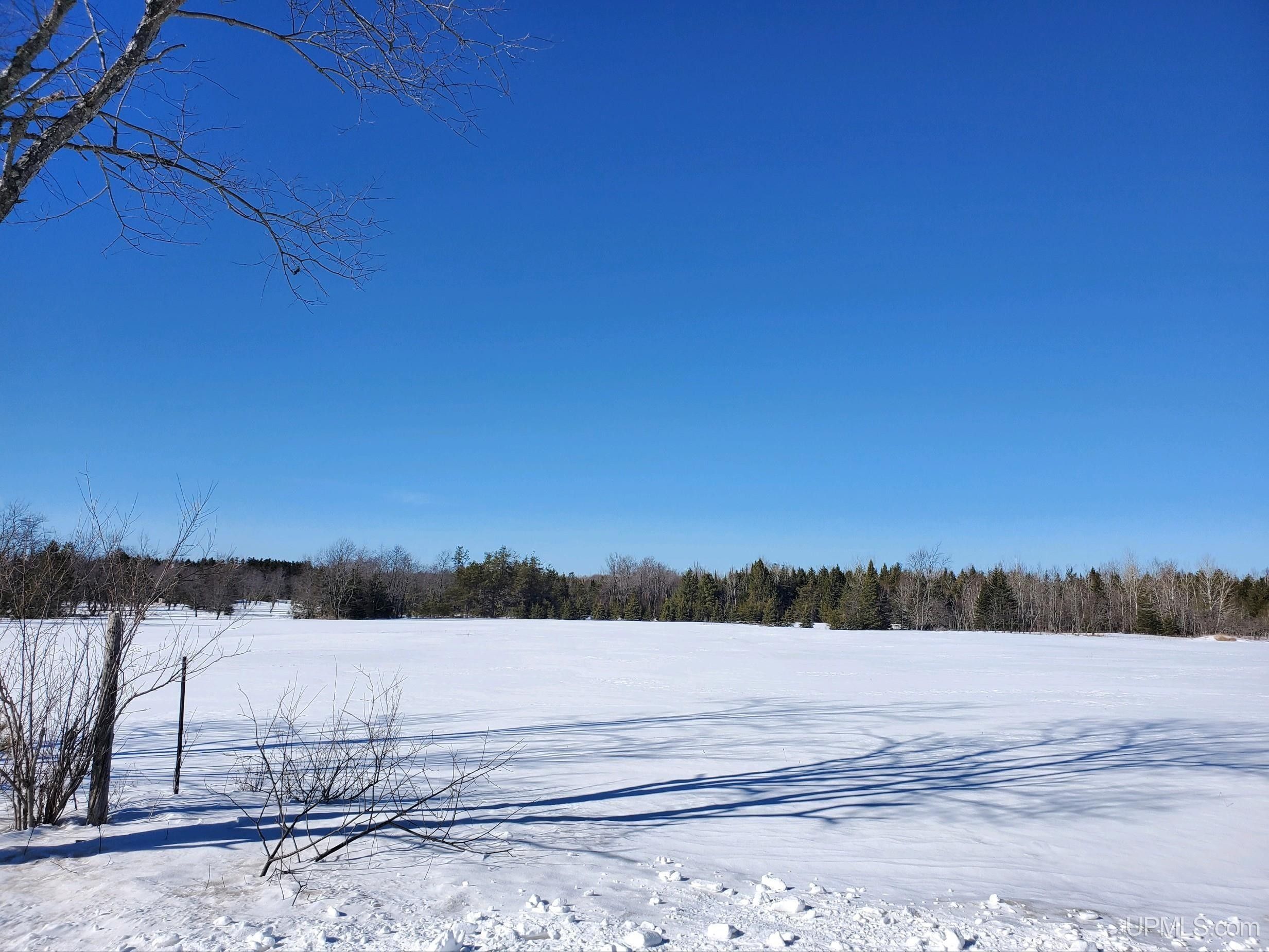 10 acres in Schoolcraft County, Michigan