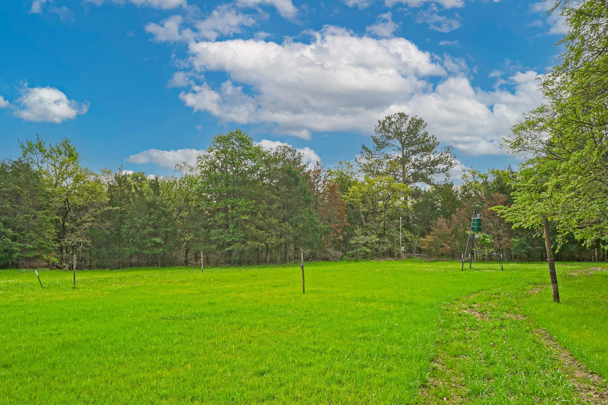 13.02 acres in Grimes County, Texas