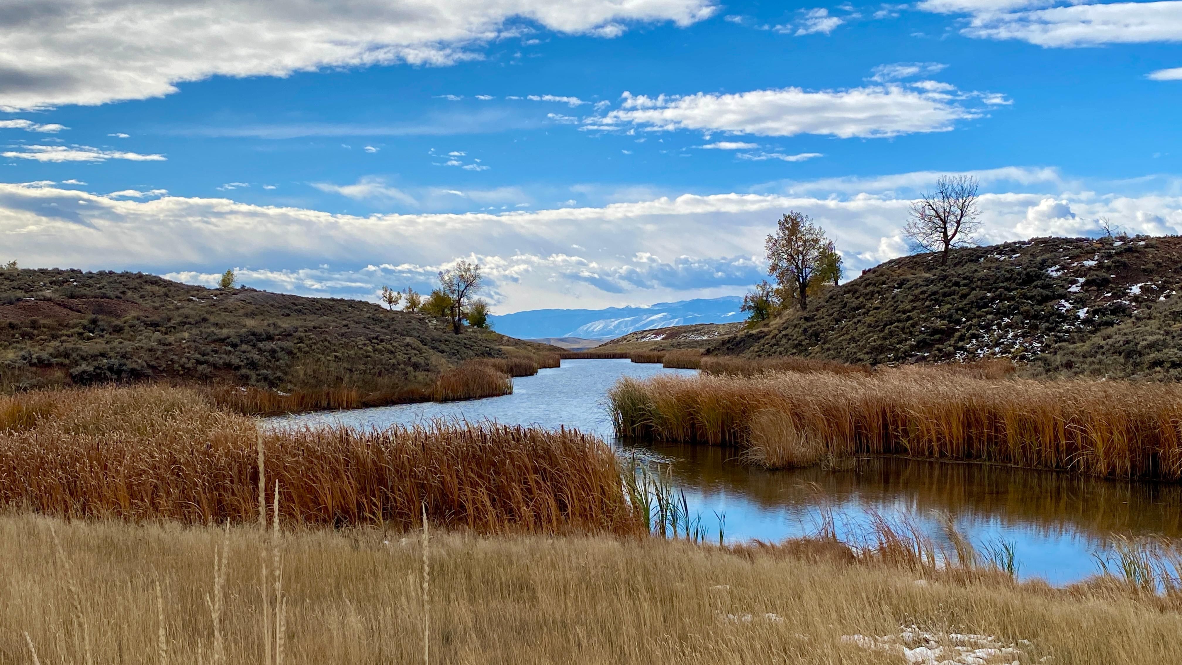 S Ash Creek Rd, Ranchester, WY 82839