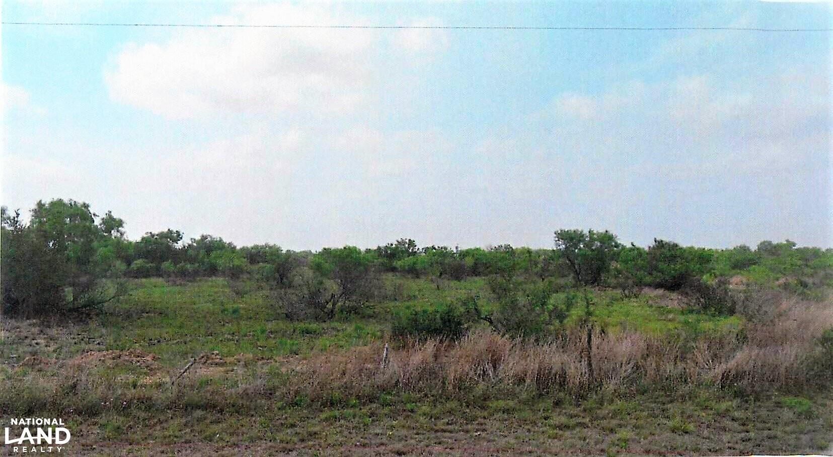 158.31 acres in Duval County, Texas