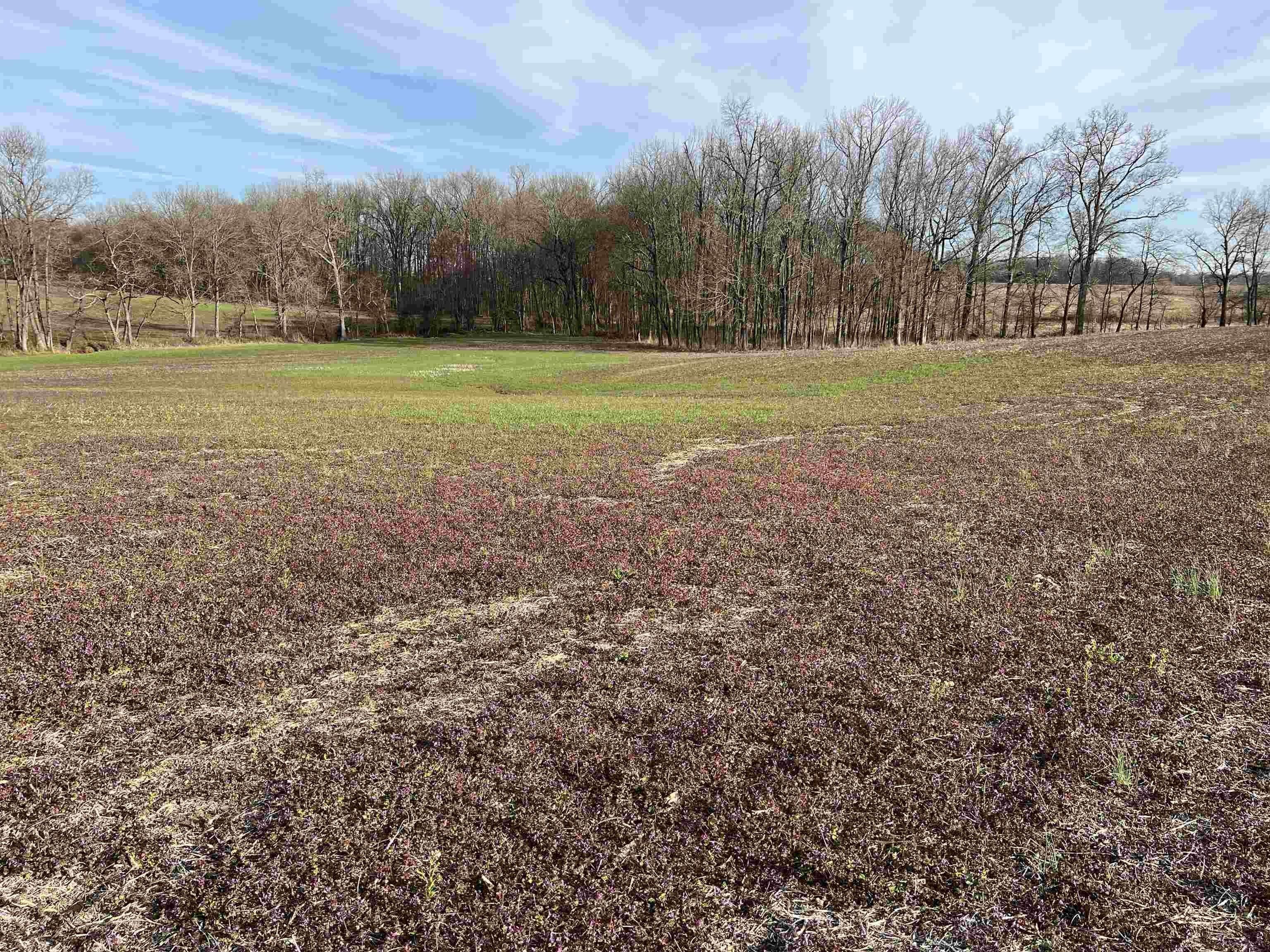 19.56 acres in Warrick County, Indiana