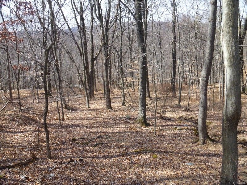 6.61 acres in Warren County, New Jersey