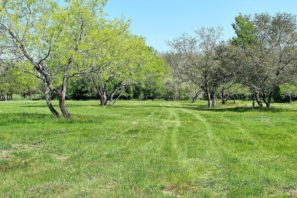 73.6 acres in Colorado County, Texas