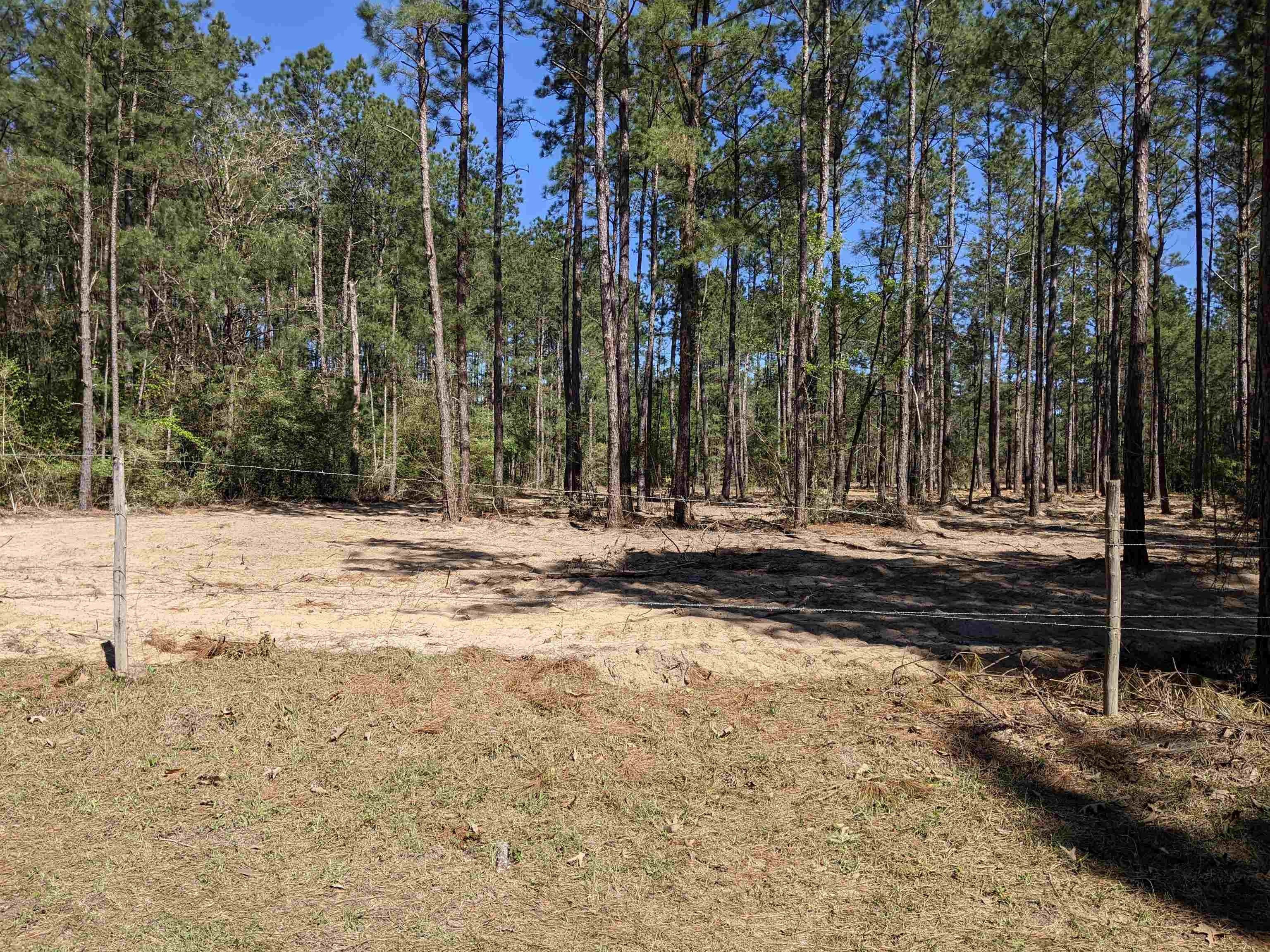7 acres in Newton County, Texas