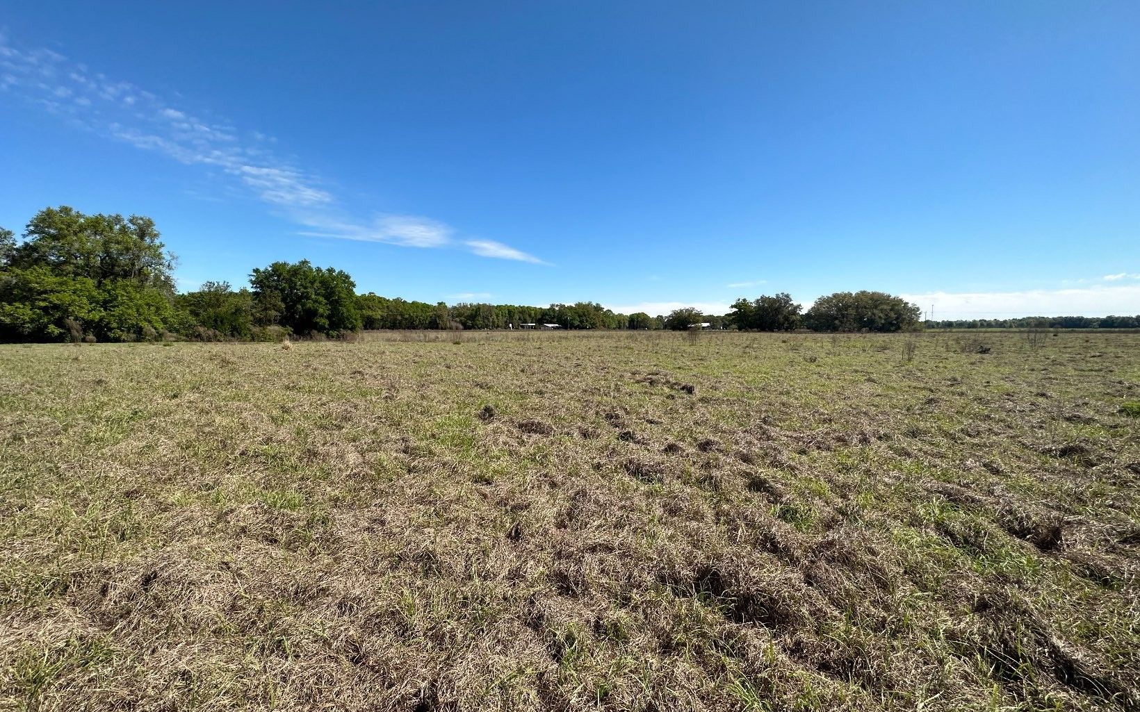 40 acres in Levy County, Florida