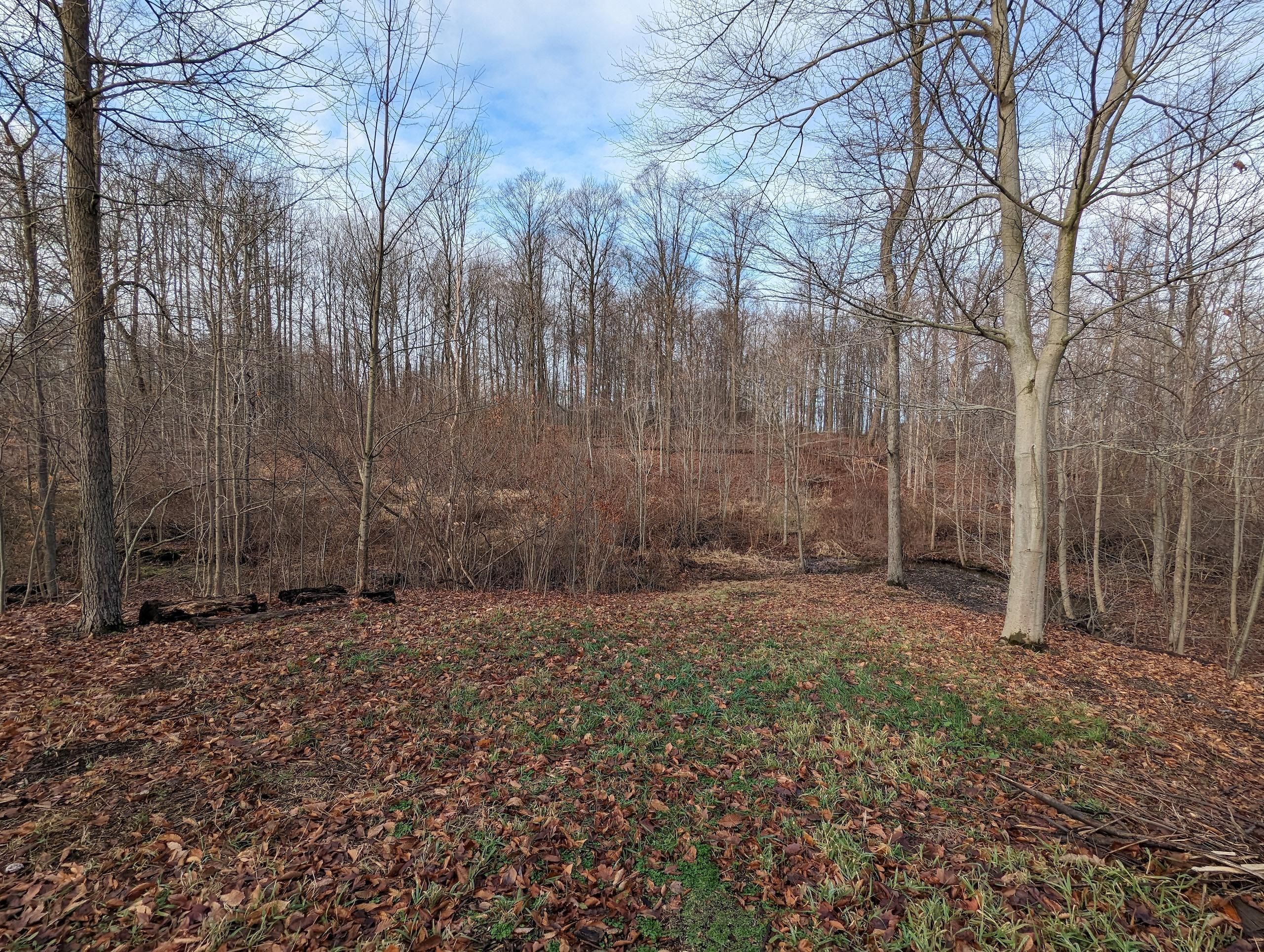 50 acres in Ashtabula County, Ohio