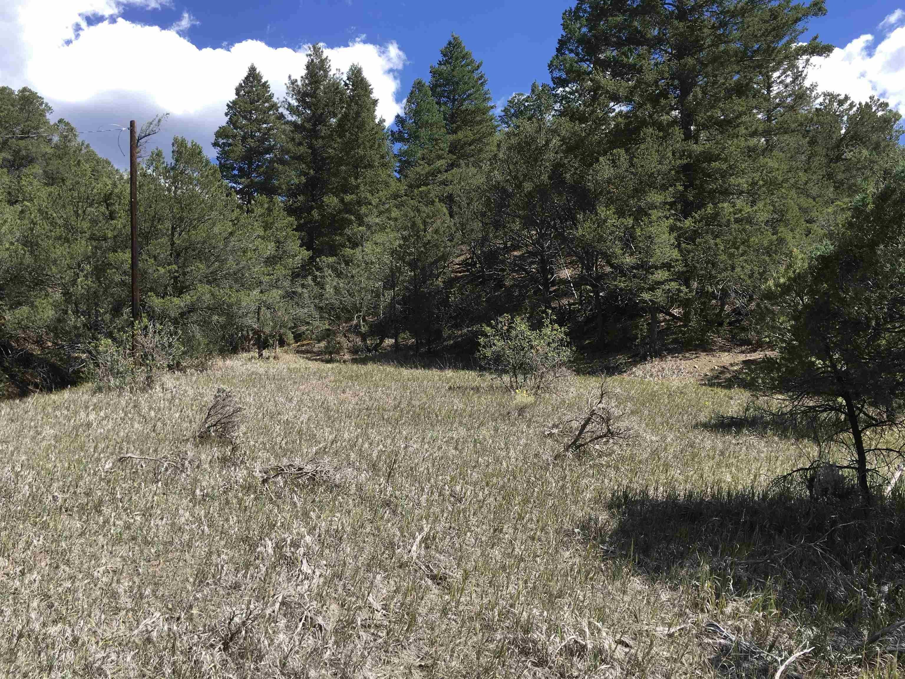 3.85 acres in Taos County, New Mexico