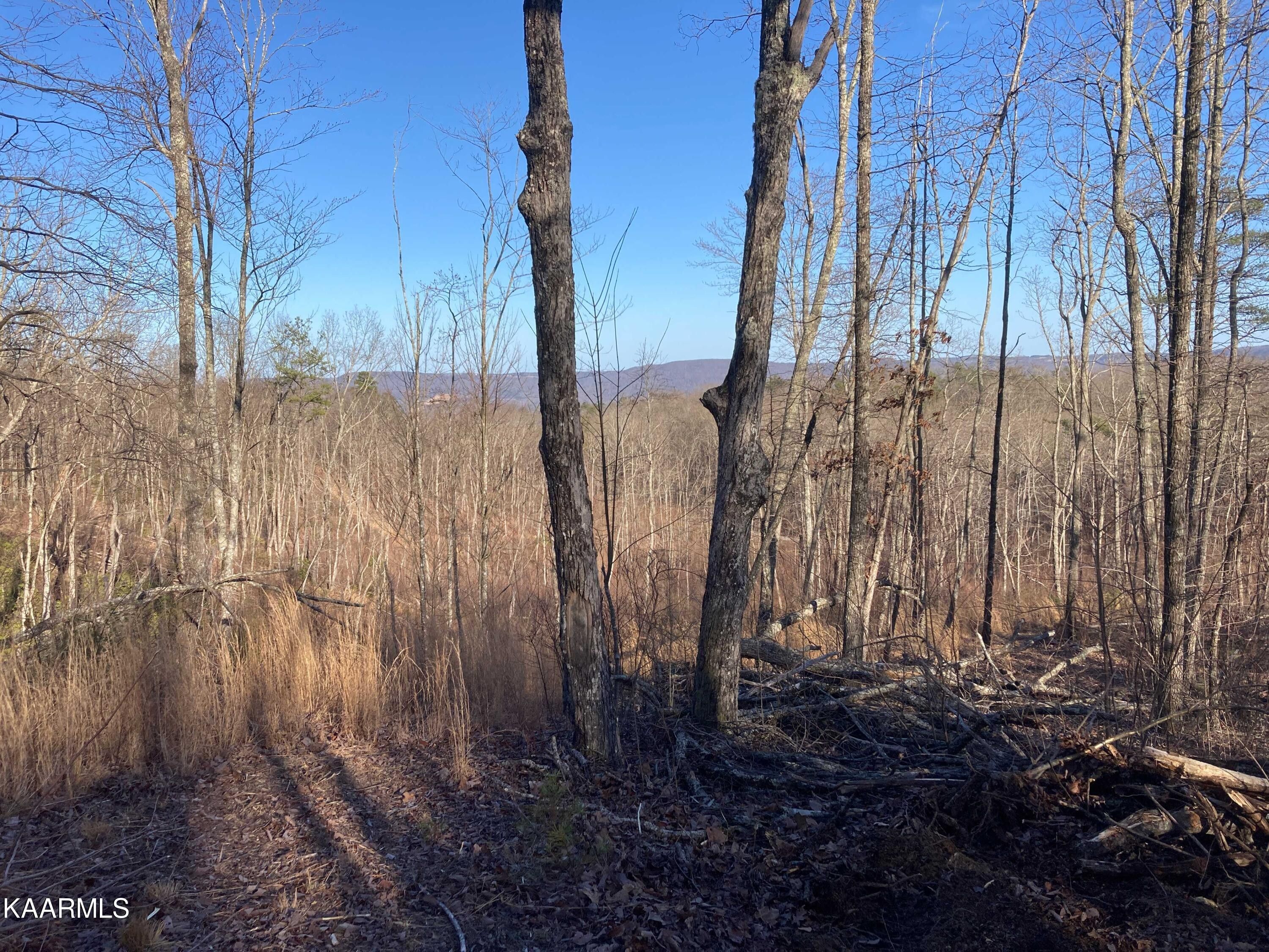 17 acres in Bledsoe County, Tennessee