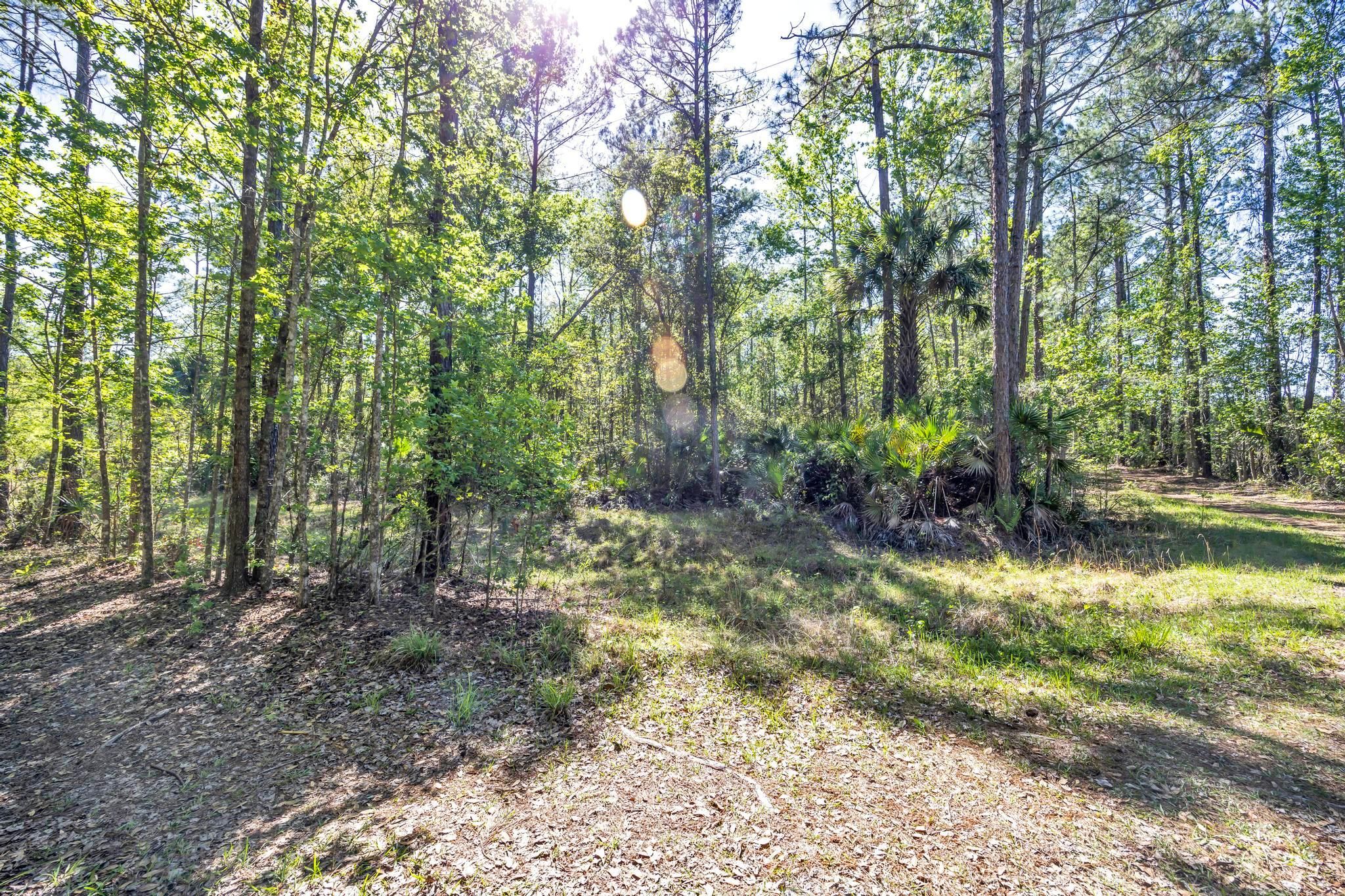 1 acres in Putnam County, Florida