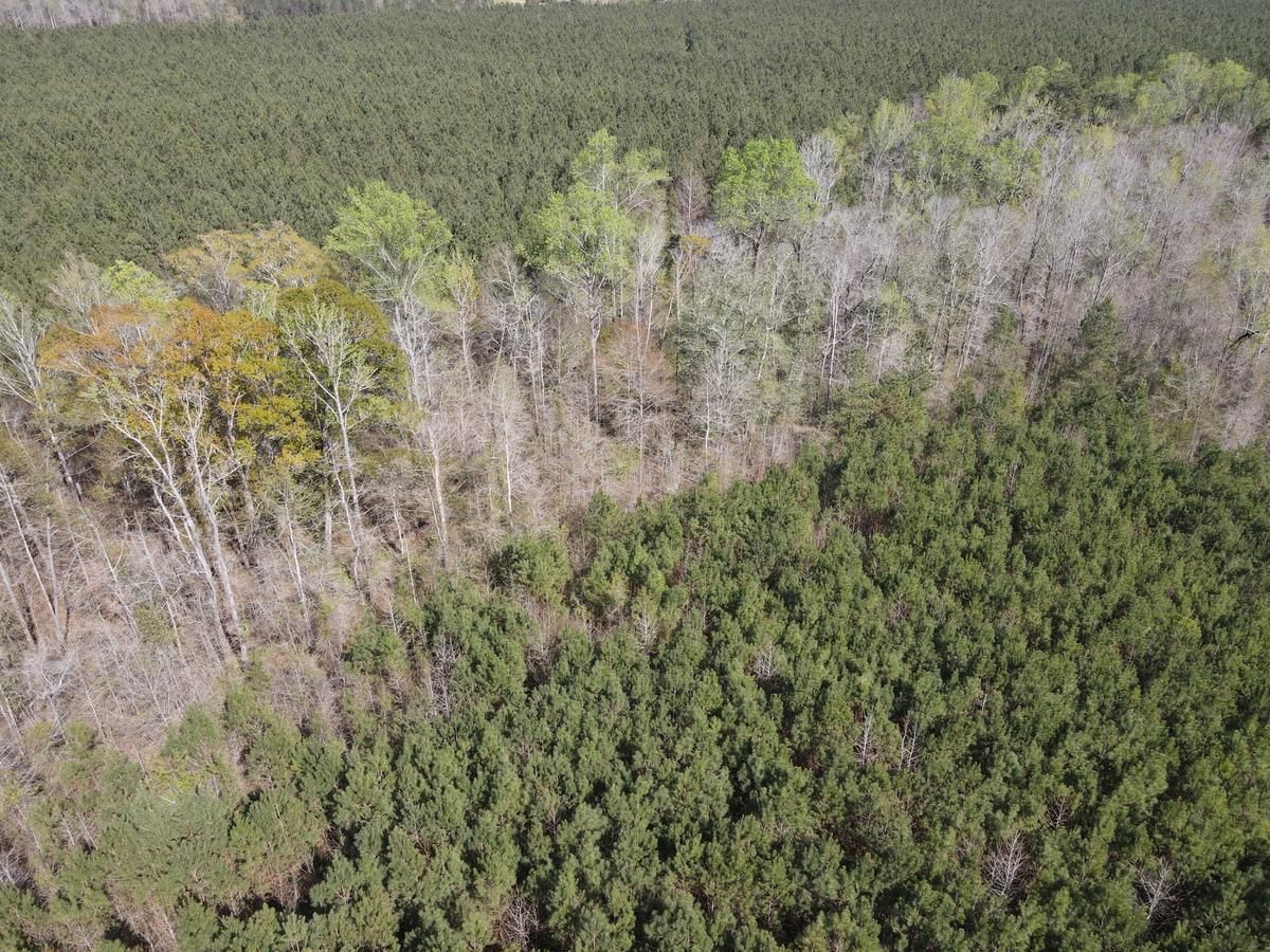 70 acres in Lauderdale County, Mississippi