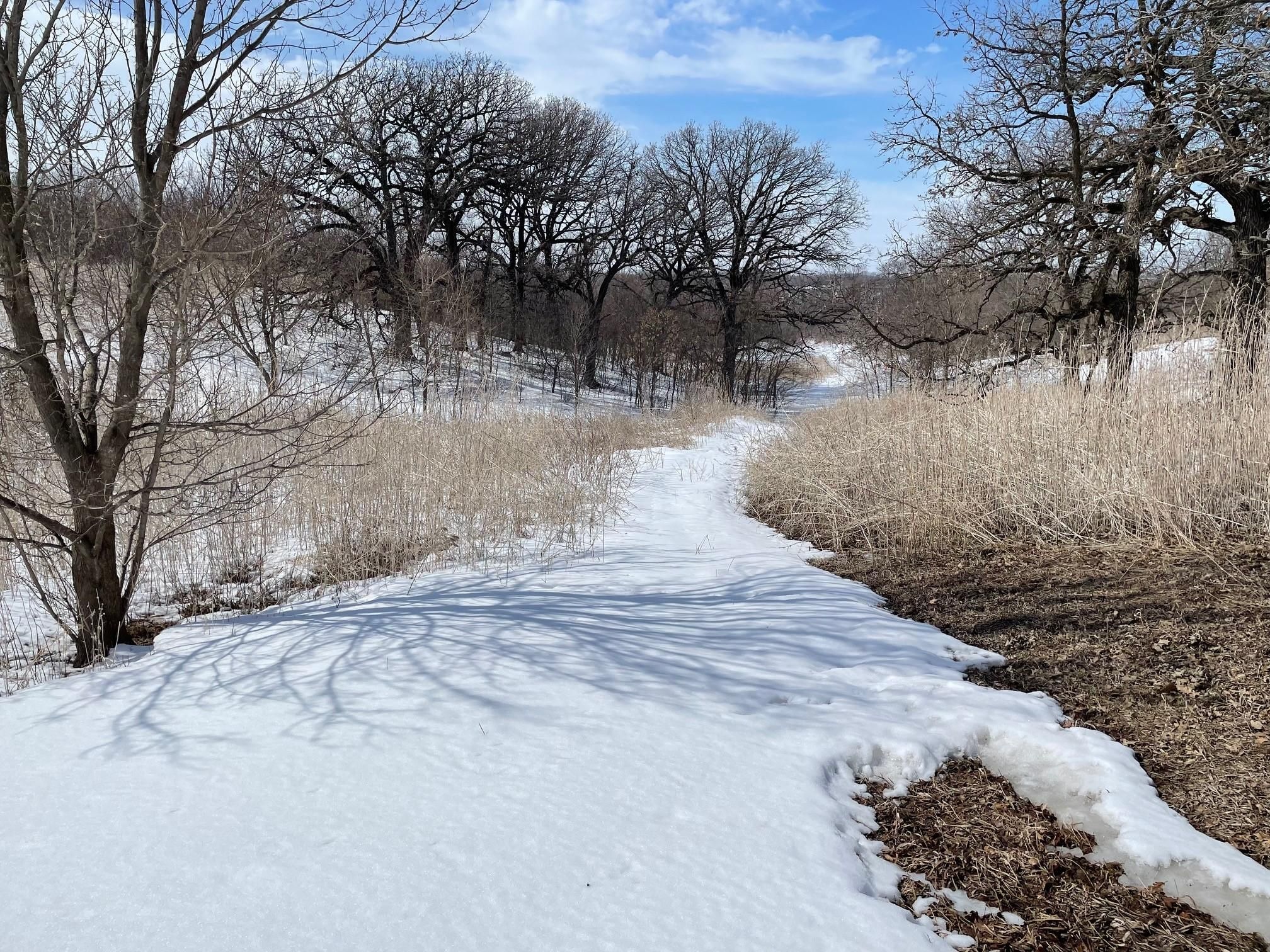 163 acres in Faribault County, Minnesota