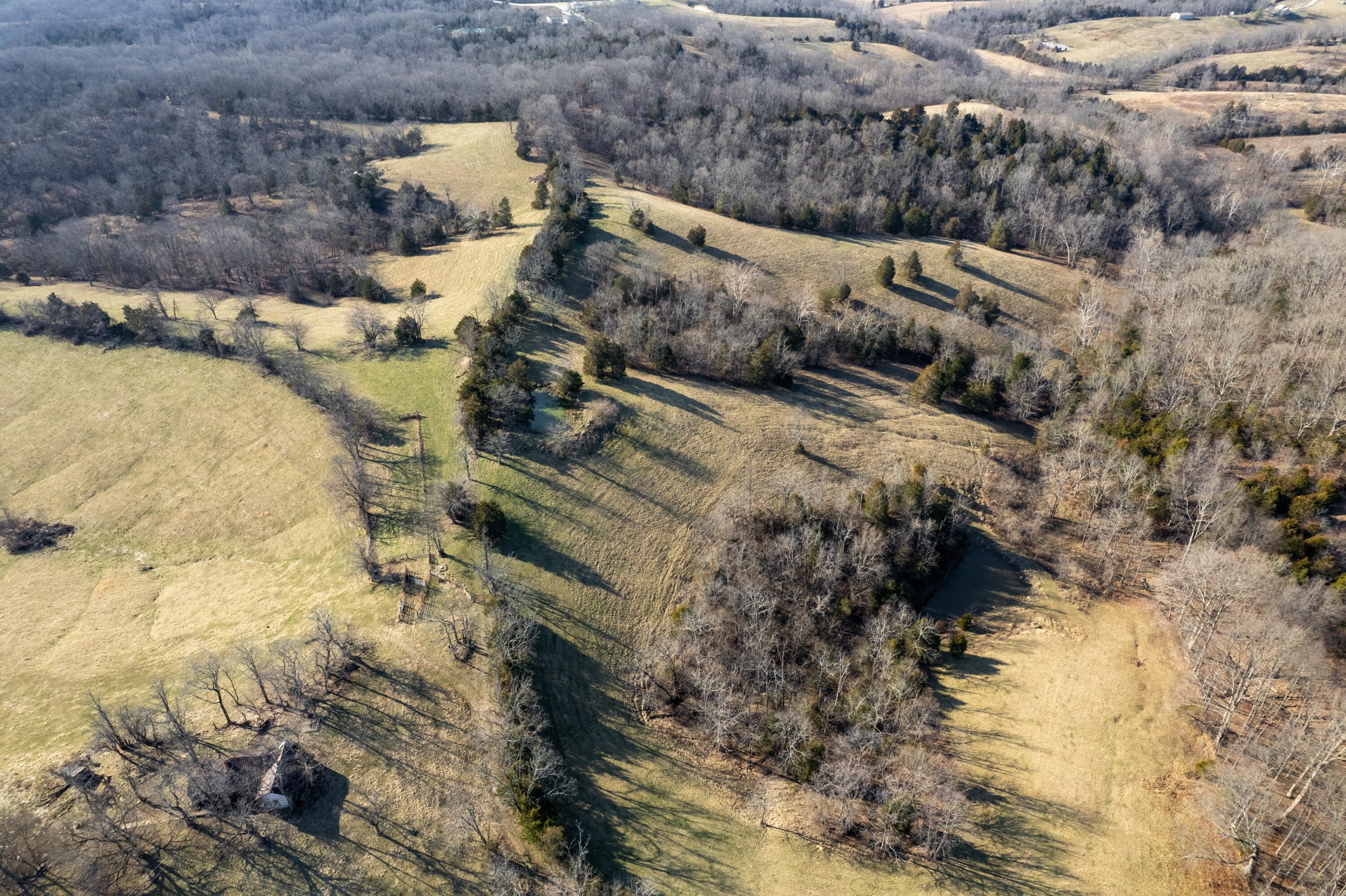 98.2 acres in Owen County, Kentucky