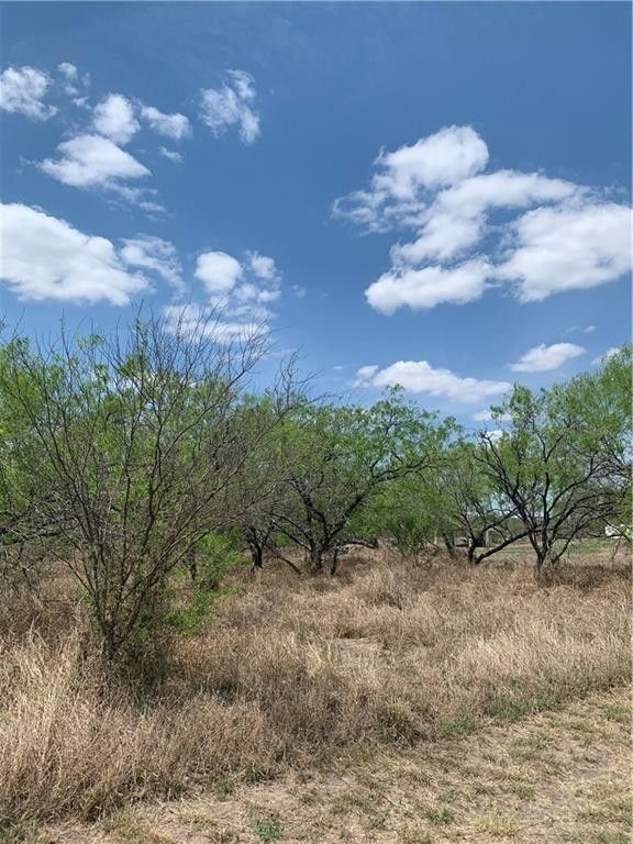 2.45 acres in Jim Wells County, Texas