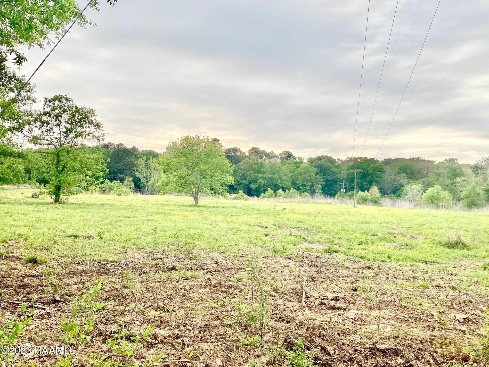 42.98 acres in Acadia Parish, Louisiana