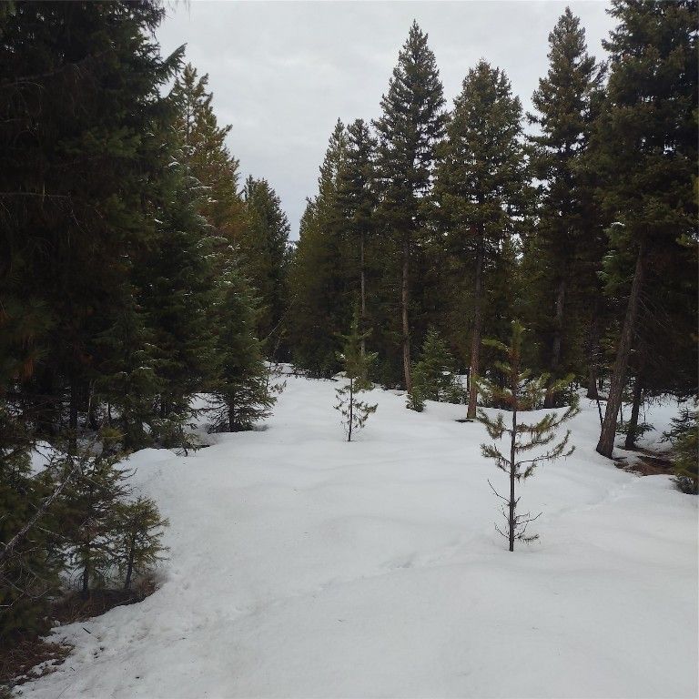 8.56 acres in Lincoln County, Montana