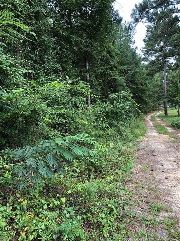 144 acres in Hoke County, North Carolina