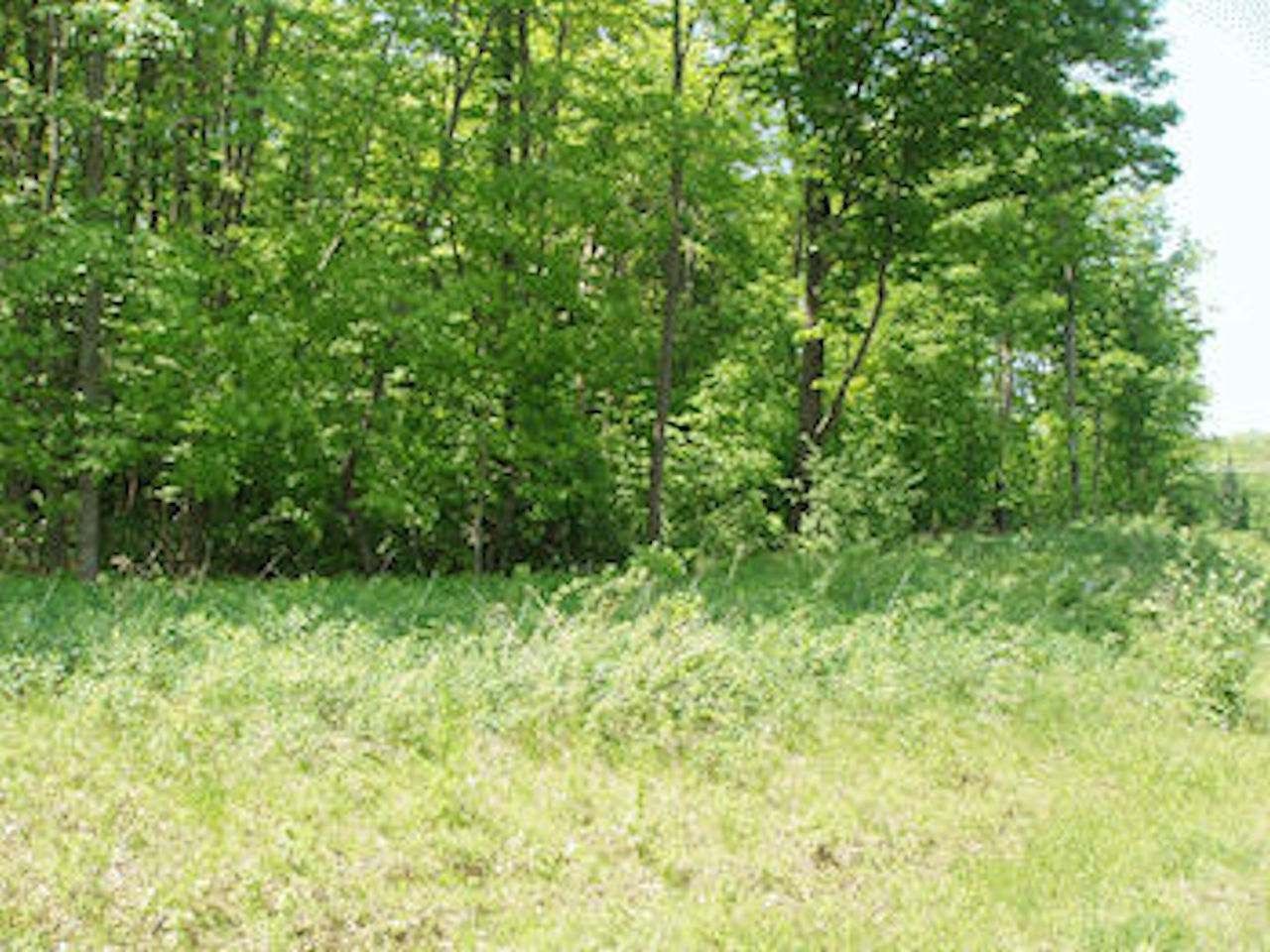 1.4 acres in Price County, Wisconsin