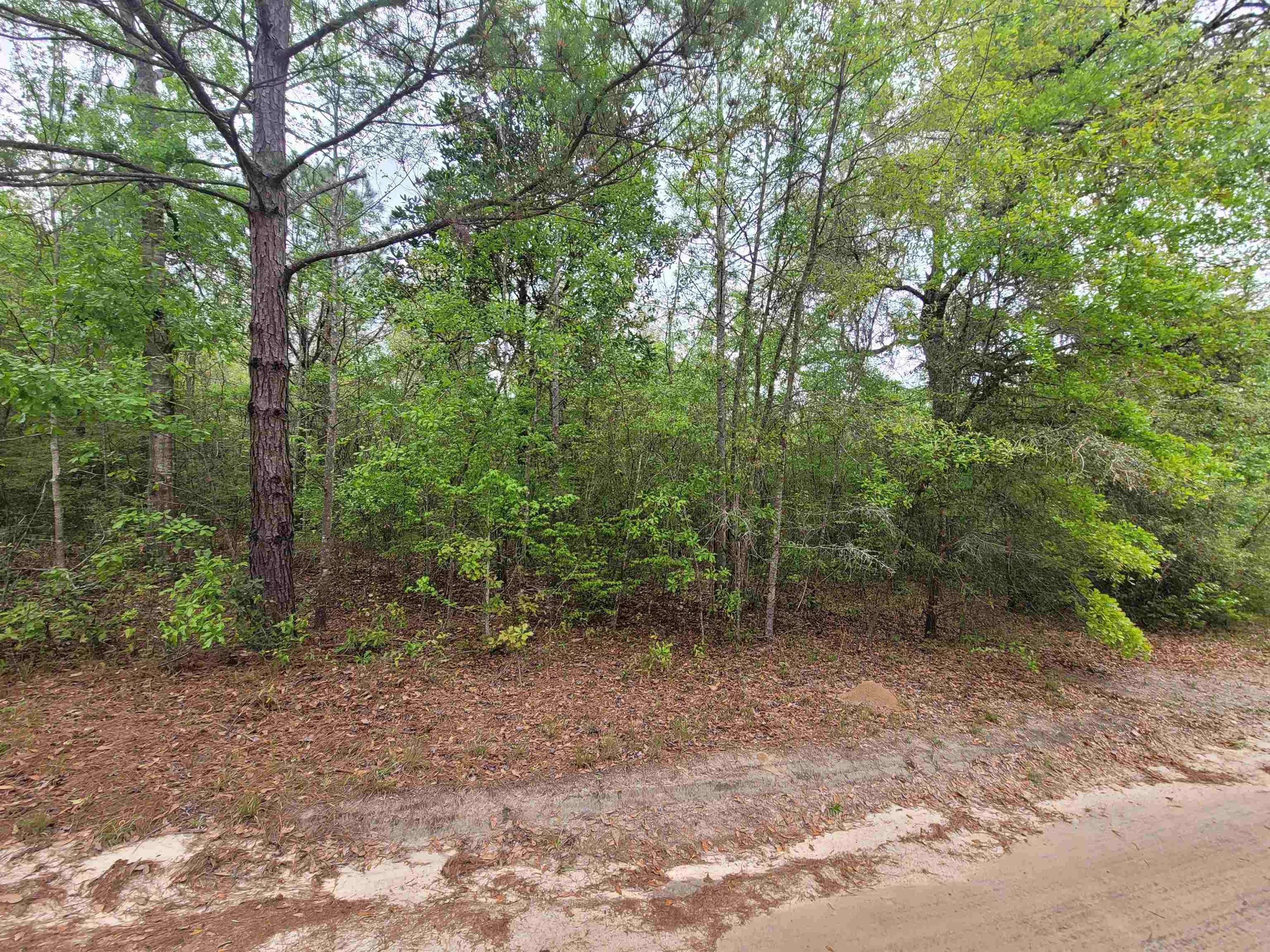 2 acres in Jefferson County, Florida