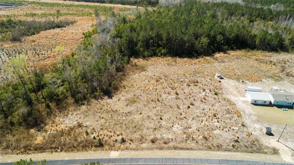 2 acres in Bladen County, North Carolina