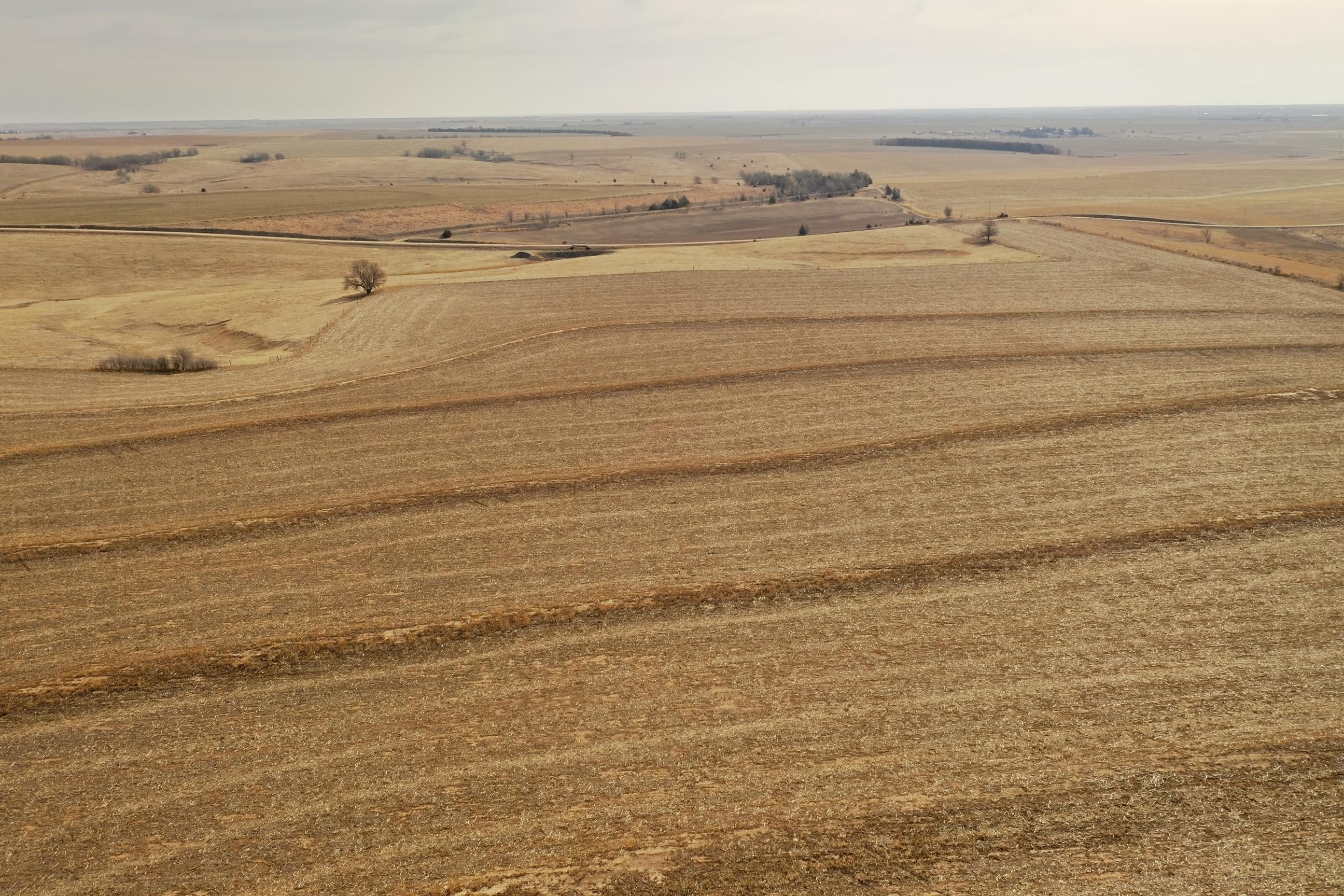 156 acres in Norton County, Kansas