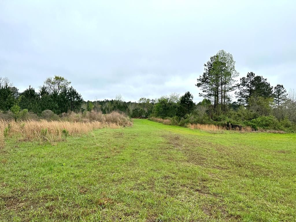 55 acres in Wilkinson County, Mississippi