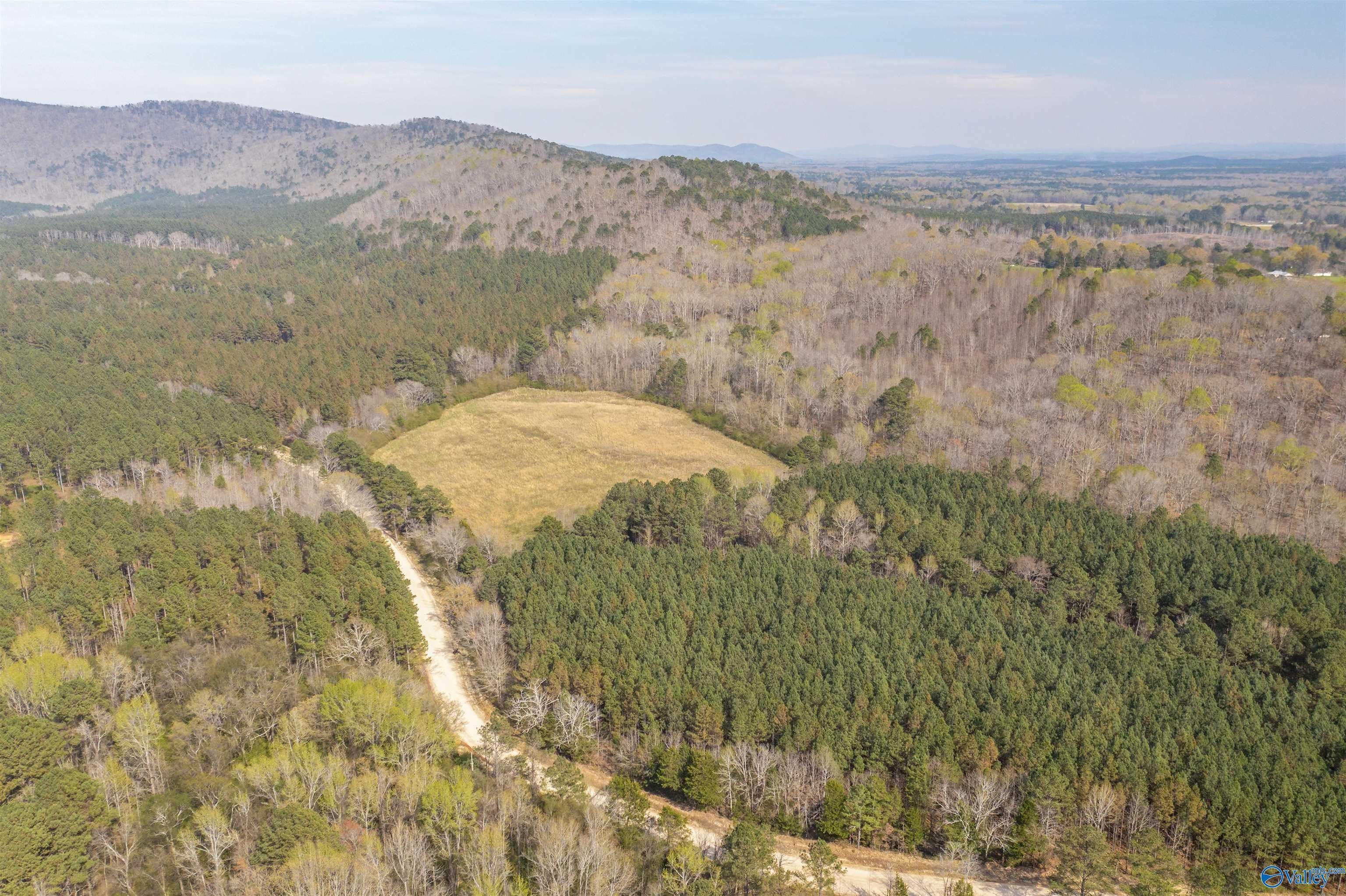 25 acres in Cherokee County, Alabama