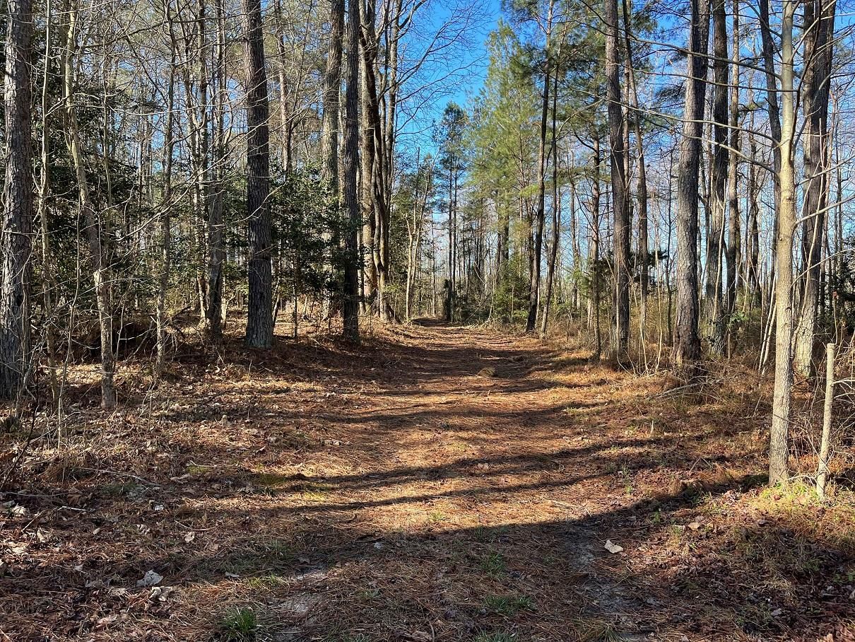 53 acres in Southampton County, Virginia