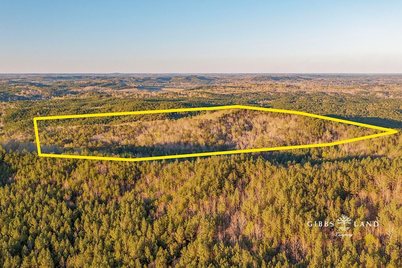 40 acres in Fayette County, Alabama