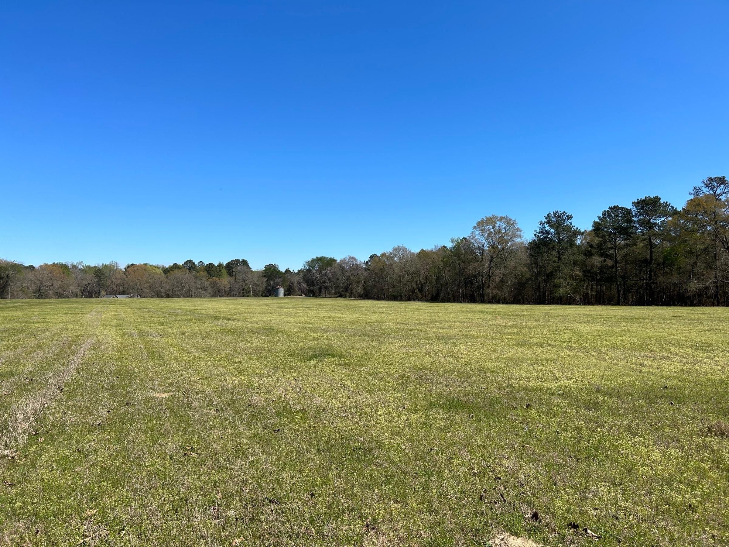11.24 acres in Wilkinson County,