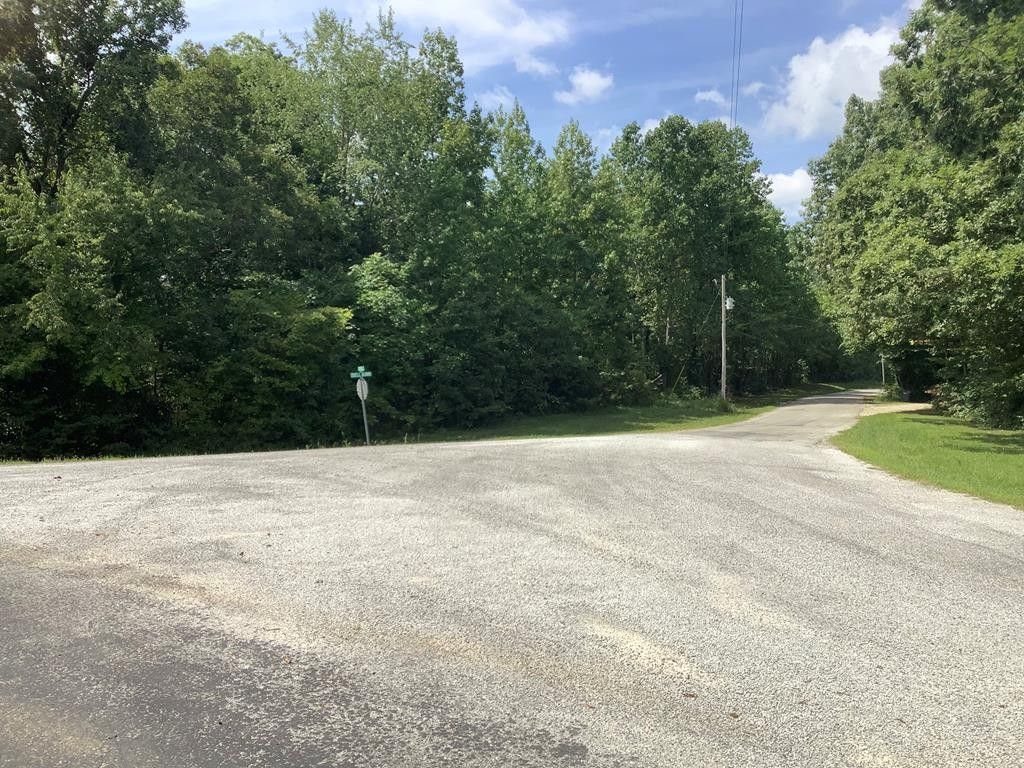 83 acres in Carroll County, Tennessee