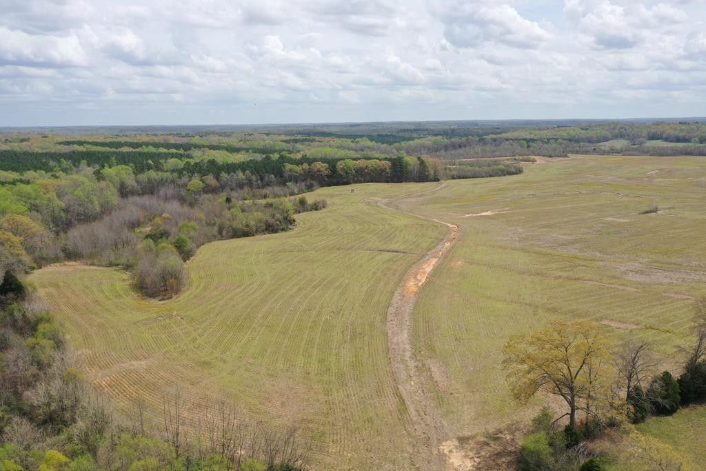 245.6 acres in Henry County, Tennessee