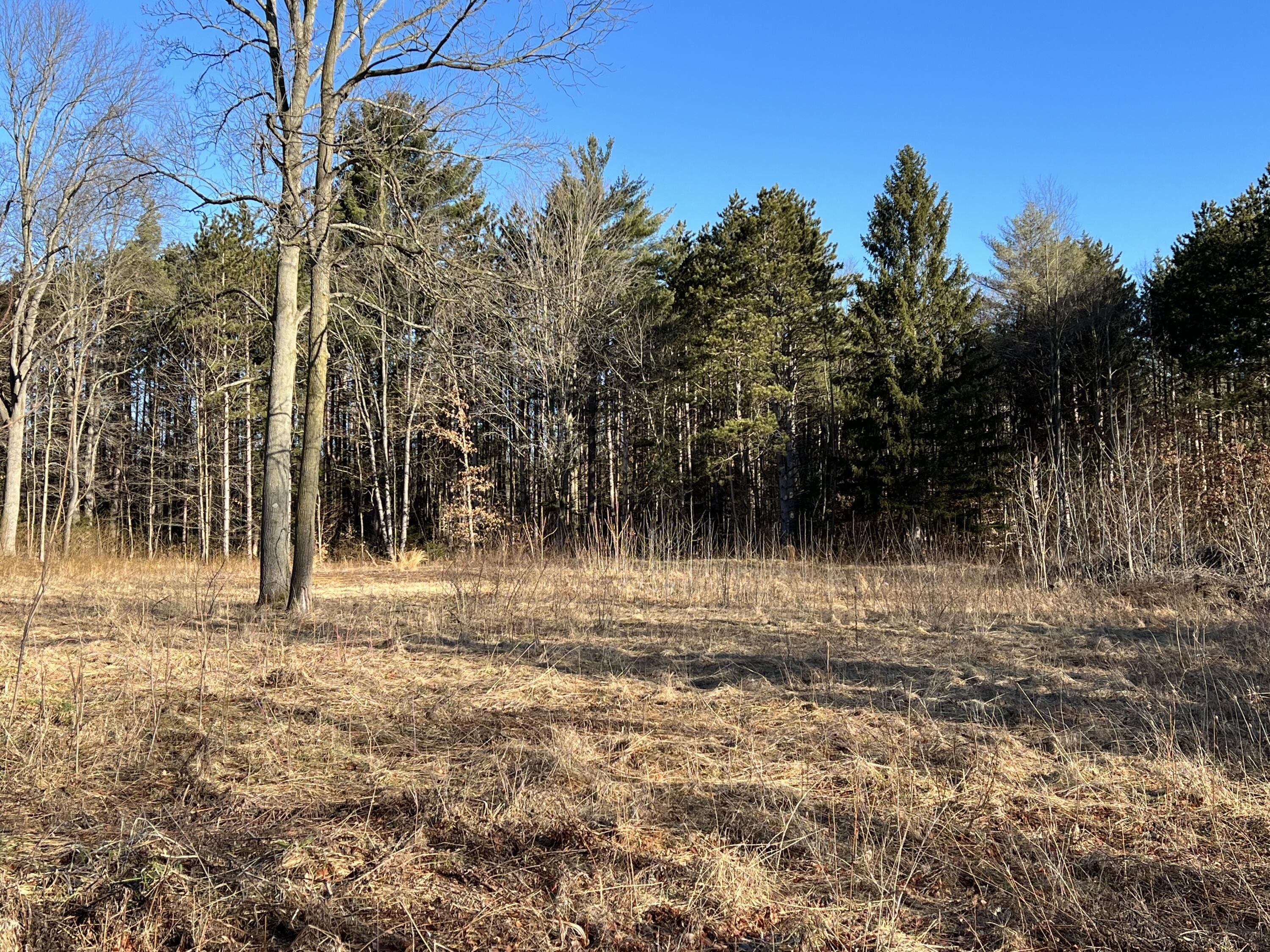 29 acres in Van Buren County, Michigan