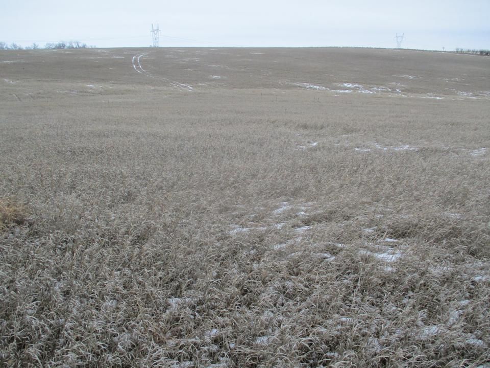 228.26 acres in Plymouth County, Iowa