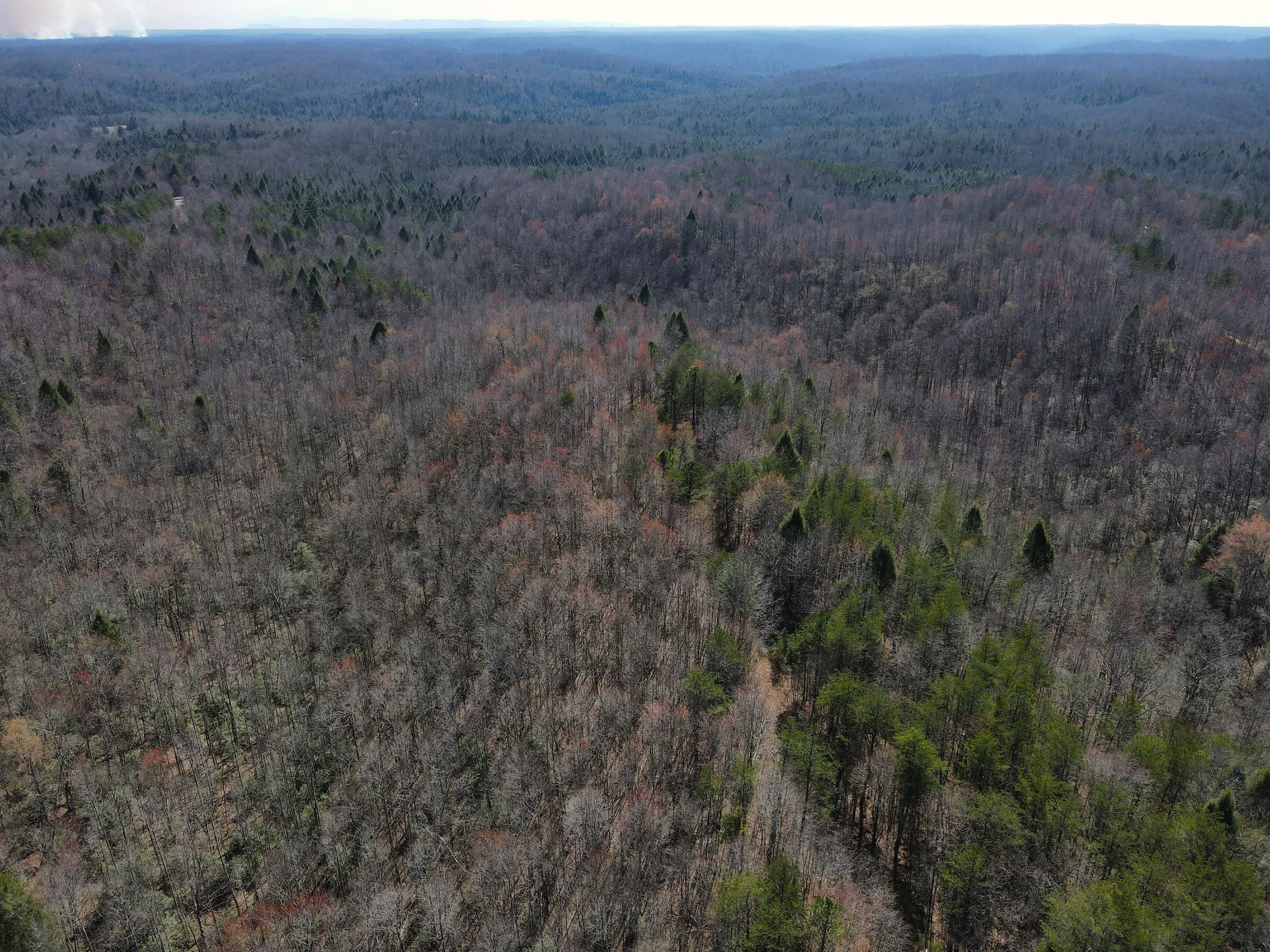 94.59 acres in McCreary County, Kentucky