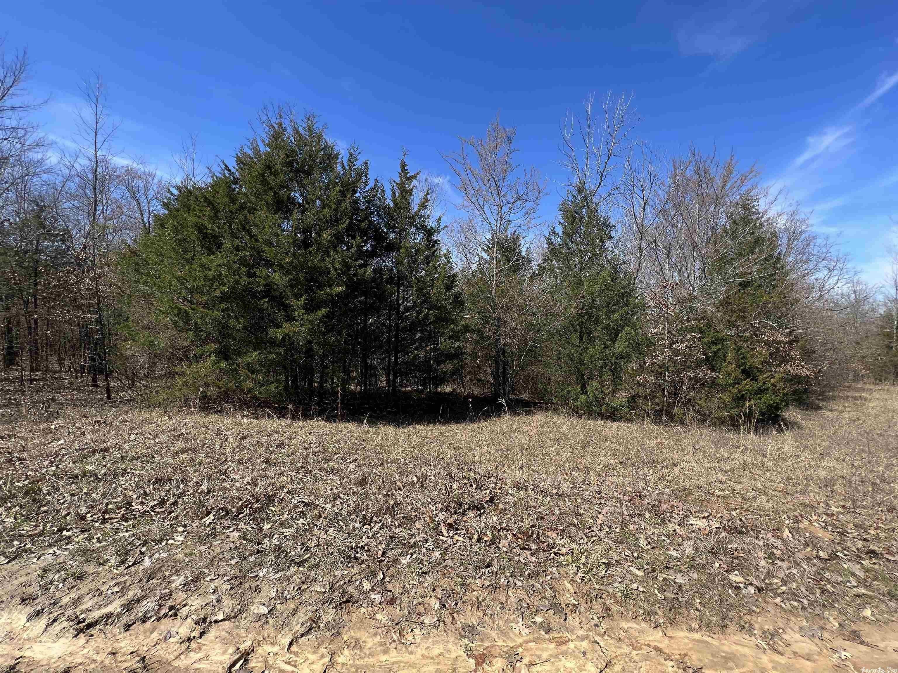 40 acres in Clay County, Arkansas