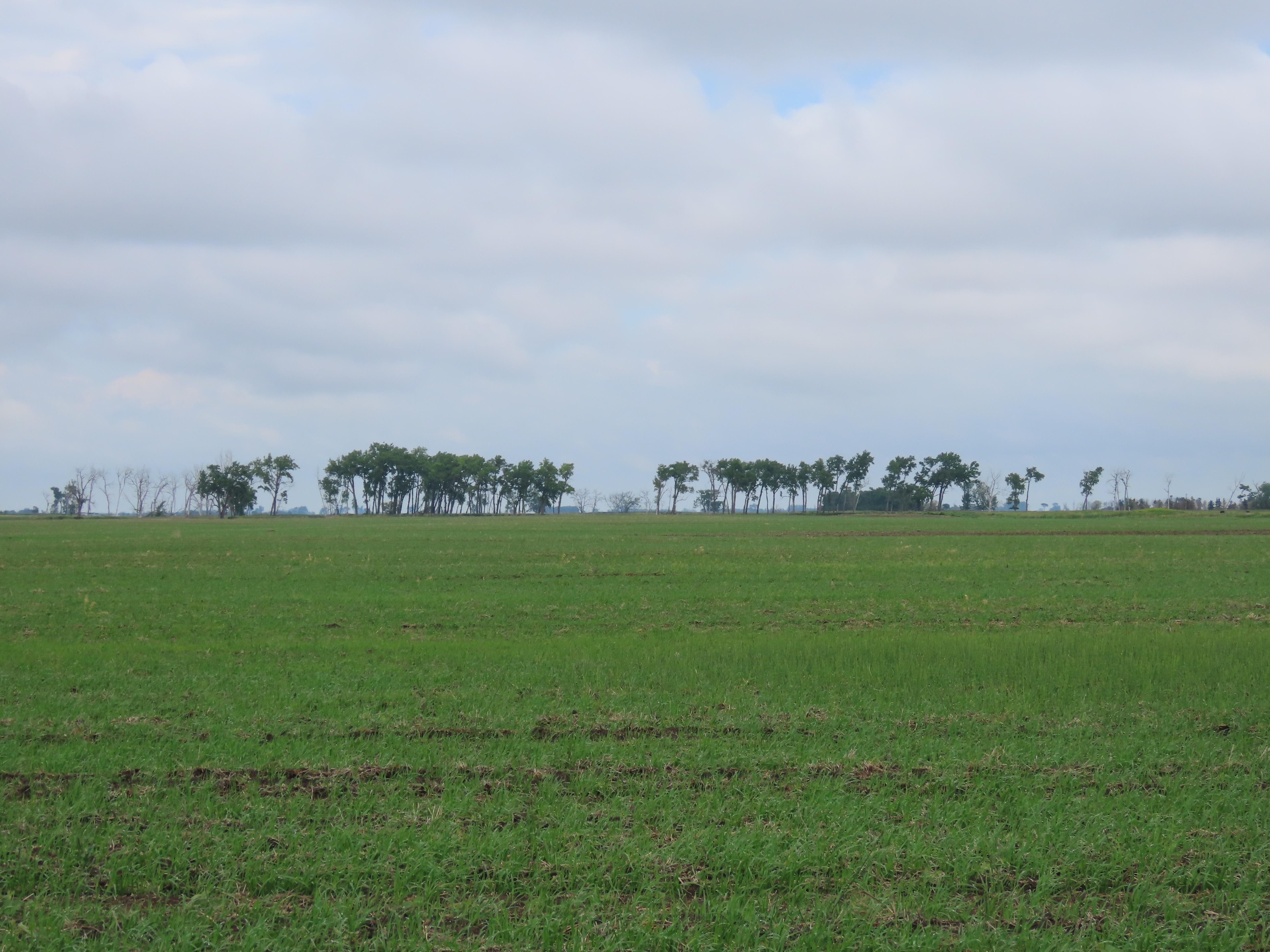 80 acres in Emmons County, North Dakota