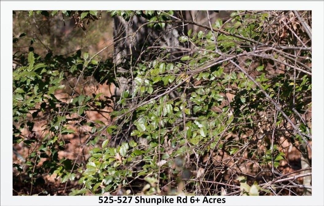 6 acres in Cape May County, New Jersey