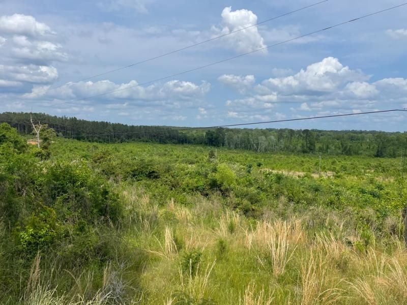 Magee, MS, Magee, MS 39111