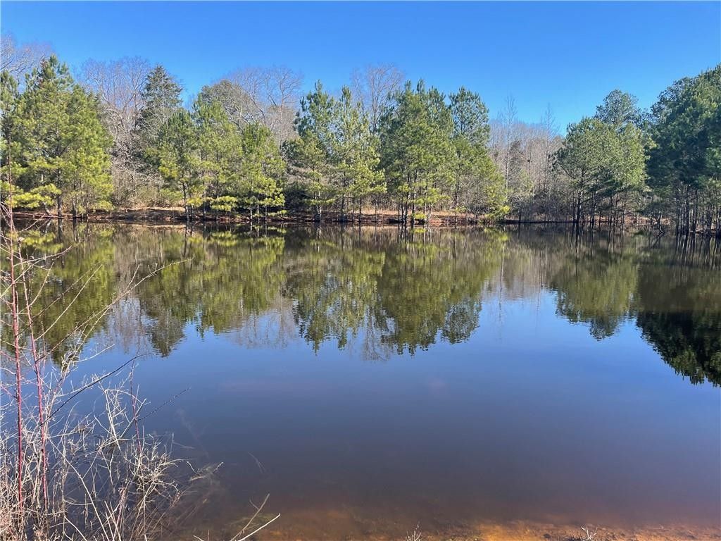 36 acres in Polk County,