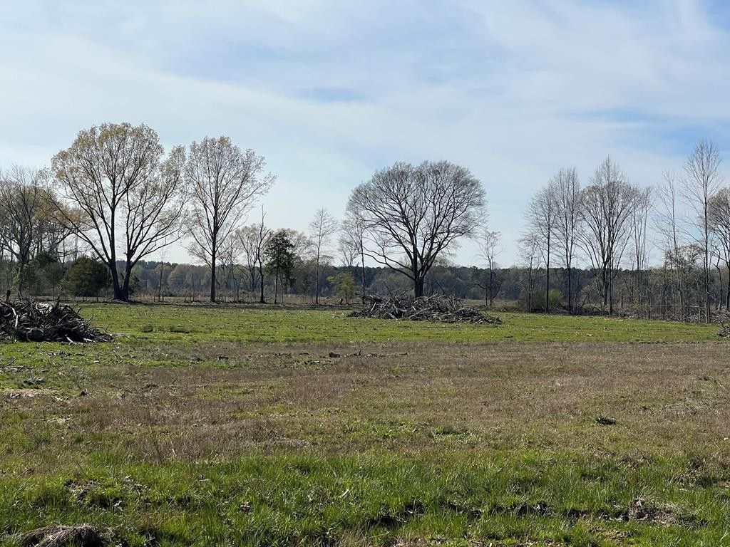 30 acres in Calhoun County, Mississippi