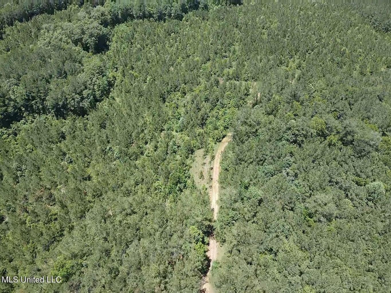 290 acres in Rankin County, Mississippi