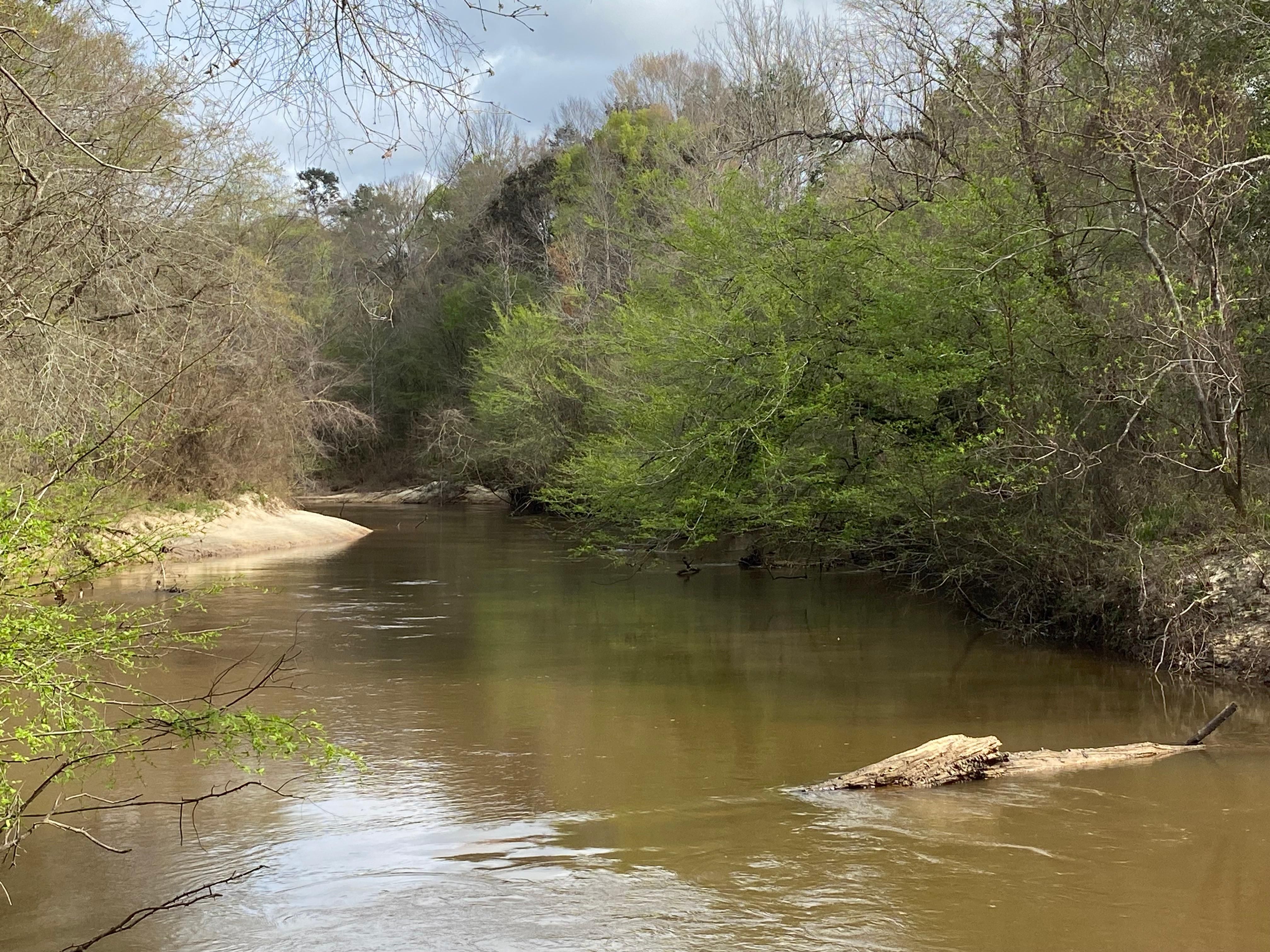 217 acres in Mckenzie, AL, 36456