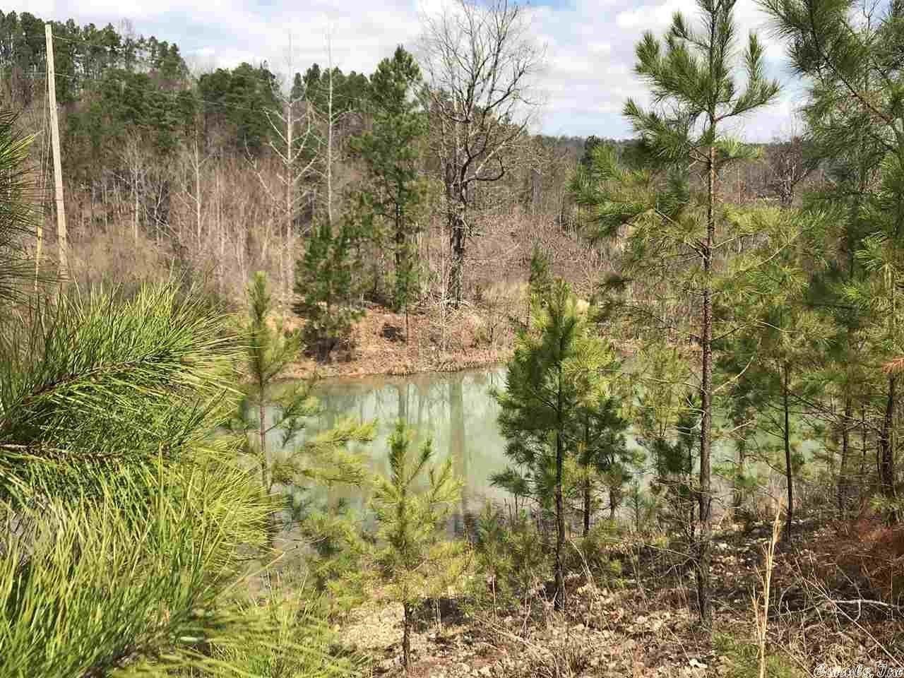 25.1 acres in Pike County, Arkansas