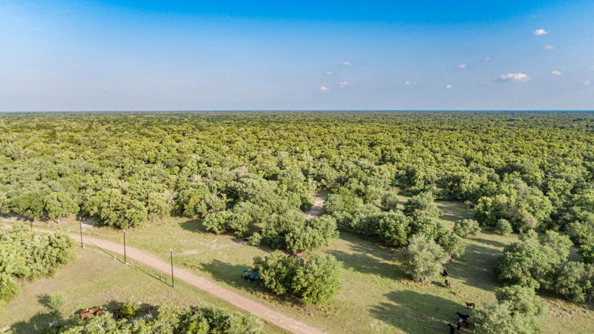 100 acres in Lavaca County, Texas
