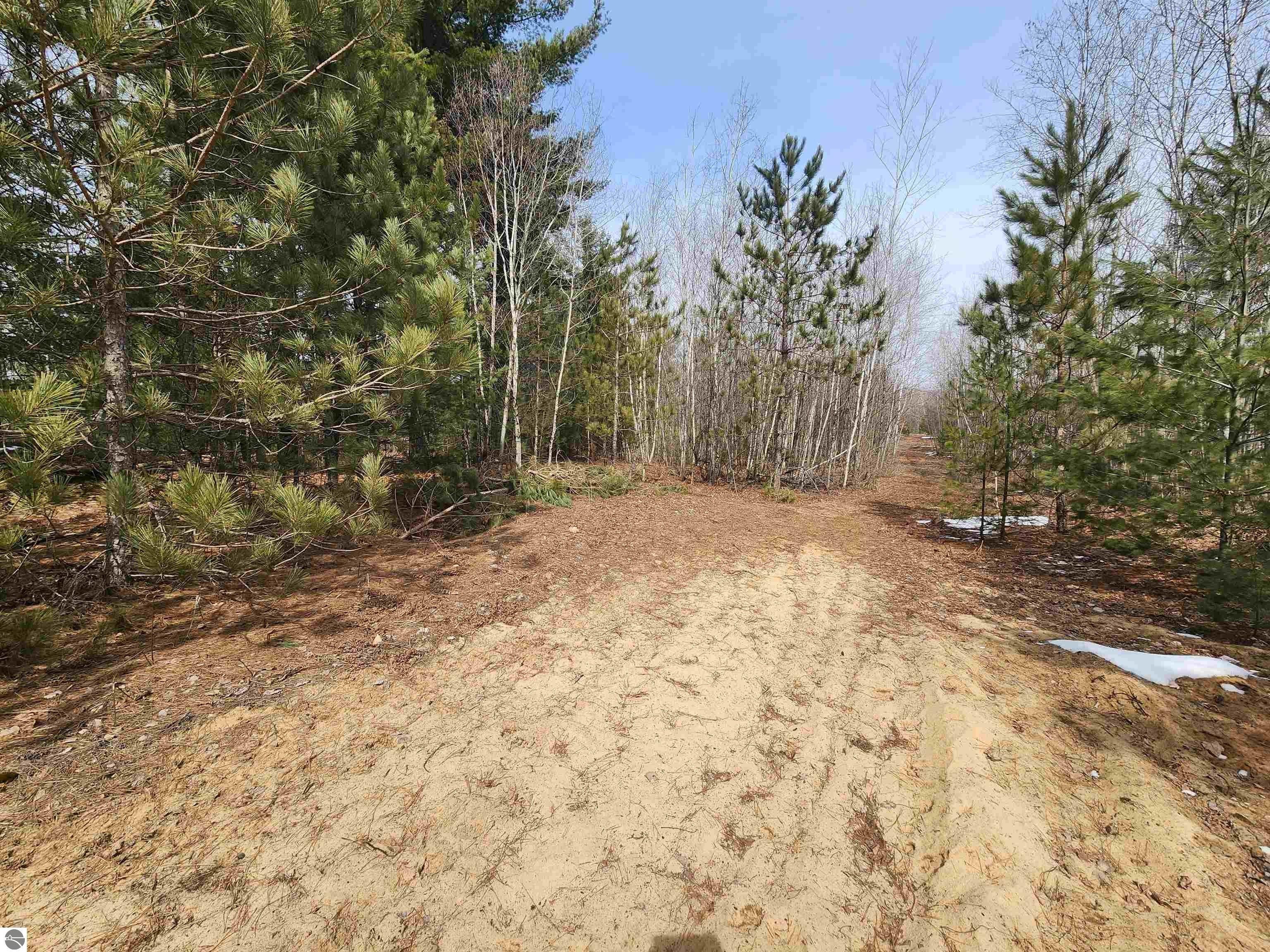25 acres in Manistee County, Michigan