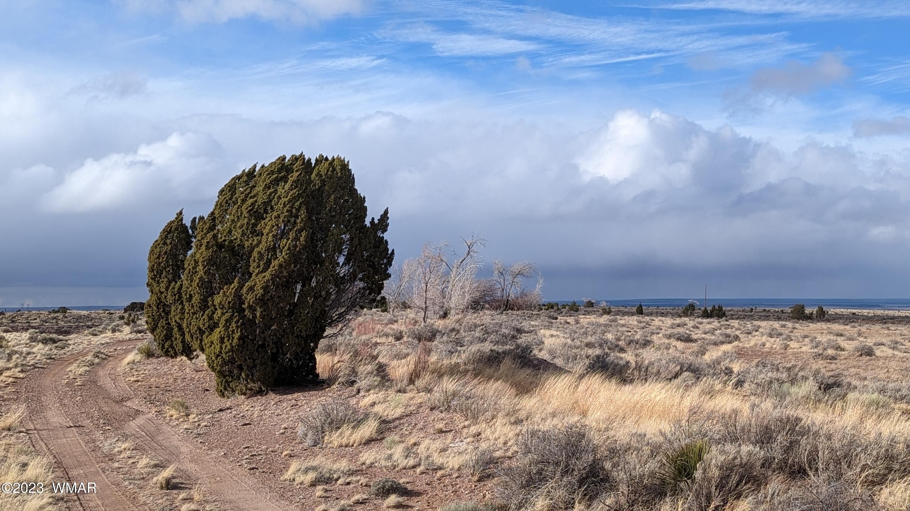 40 acres in Apache County, Arizona