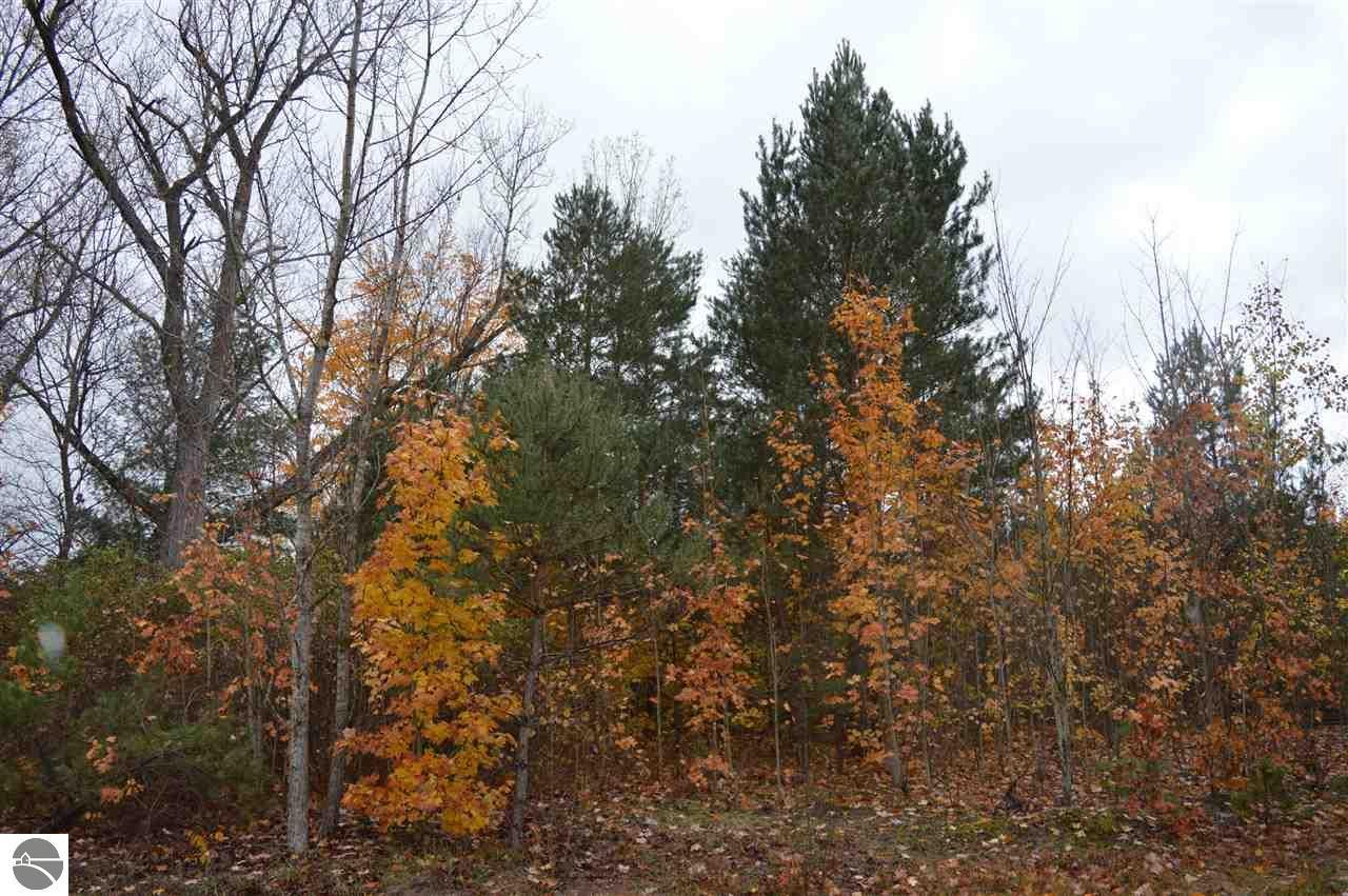 20 acres in Antrim County, Michigan